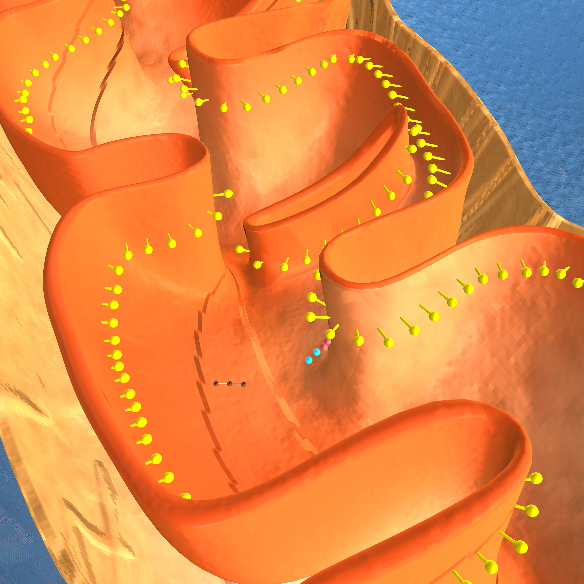 人细胞线粒体检测常用蛋白：分类及英文名称
