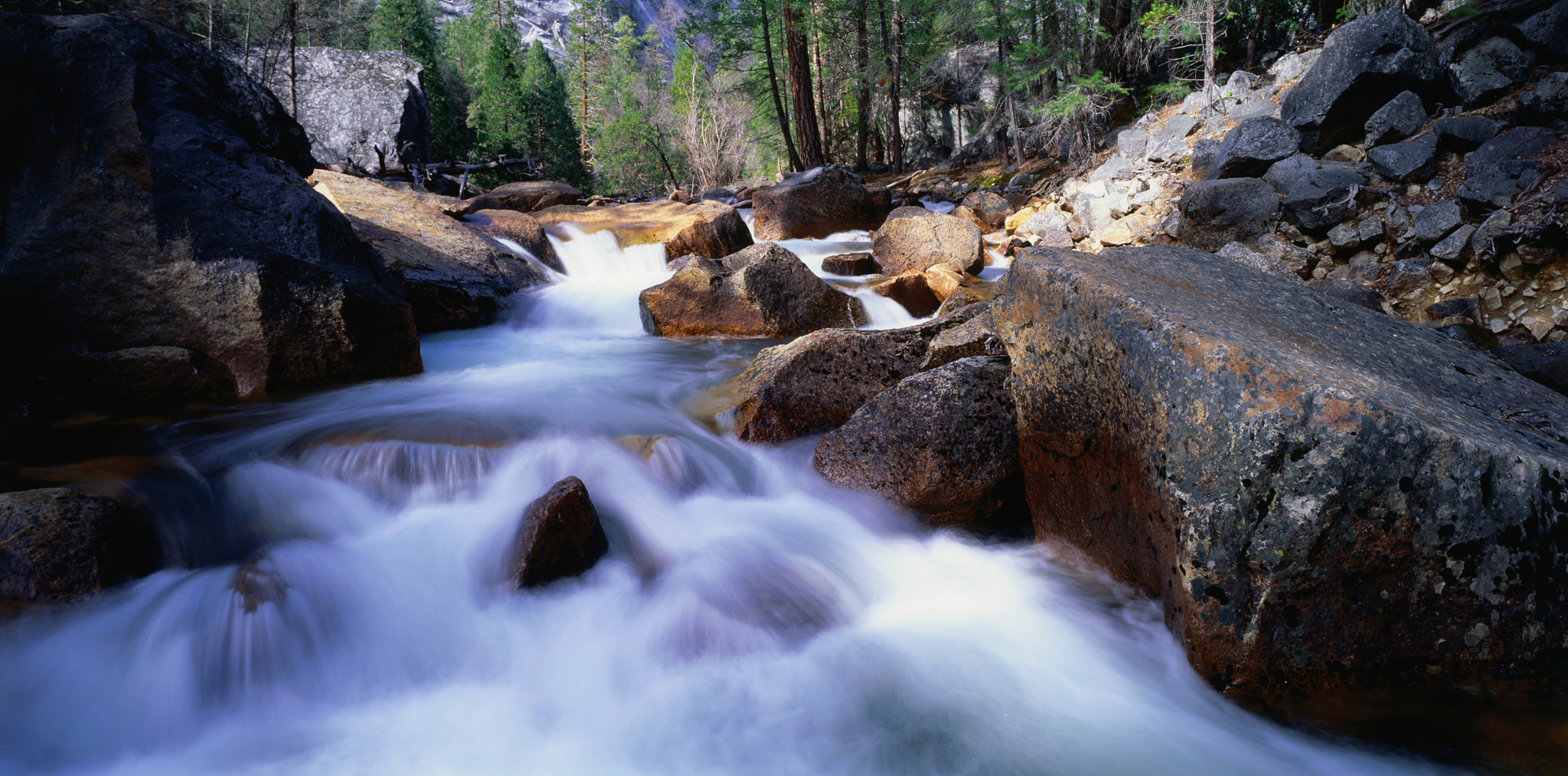 兰州园艺学校现代林业技术专业职业发展方向：从业方向及技能要求