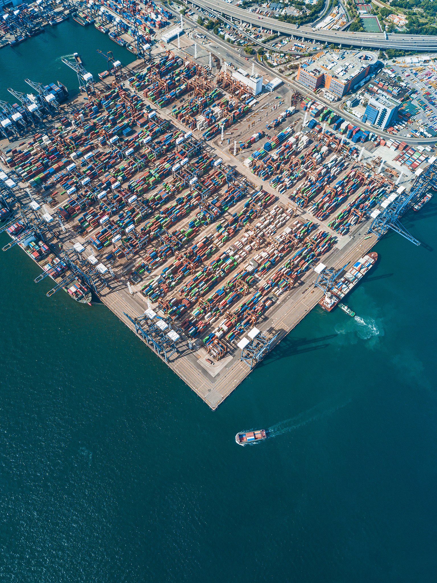 浙江国际海运职业学院计算机信息管理专业详解：课程、师资、就业前景