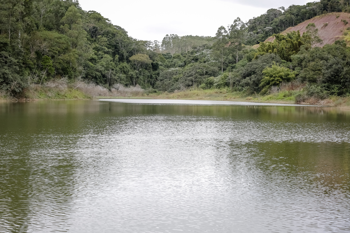 Natural Product Communications期刊研究内容详细介绍