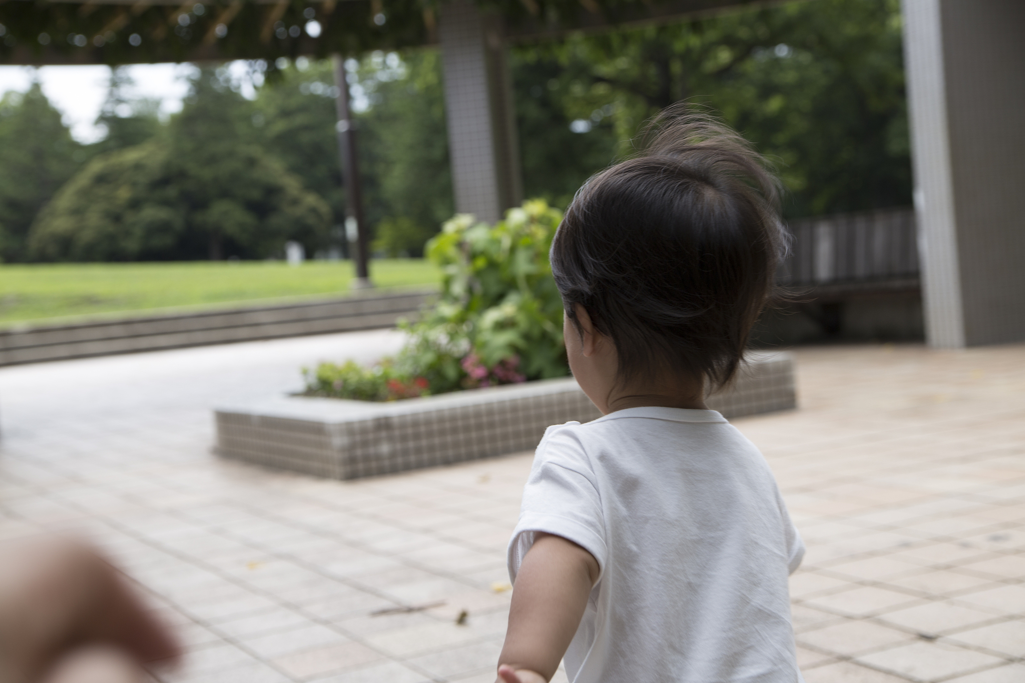 写一篇优秀的具有现实意义的小说