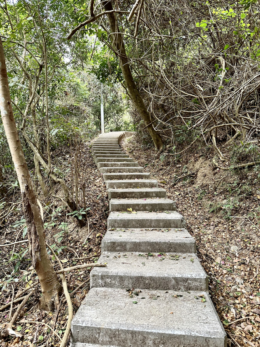 广东韶关梅关古道:历史的回响,生活的韵味 你好,亲爱的读者,今天我要