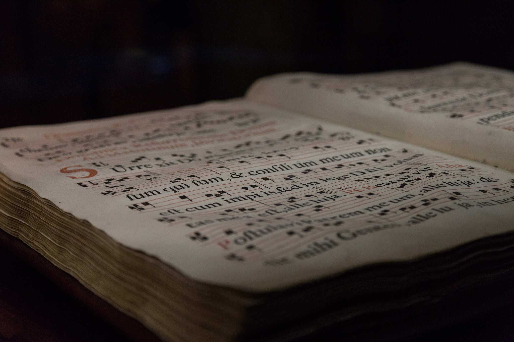 给卡车上使用的异形床垫制定切实可行的商业计划。