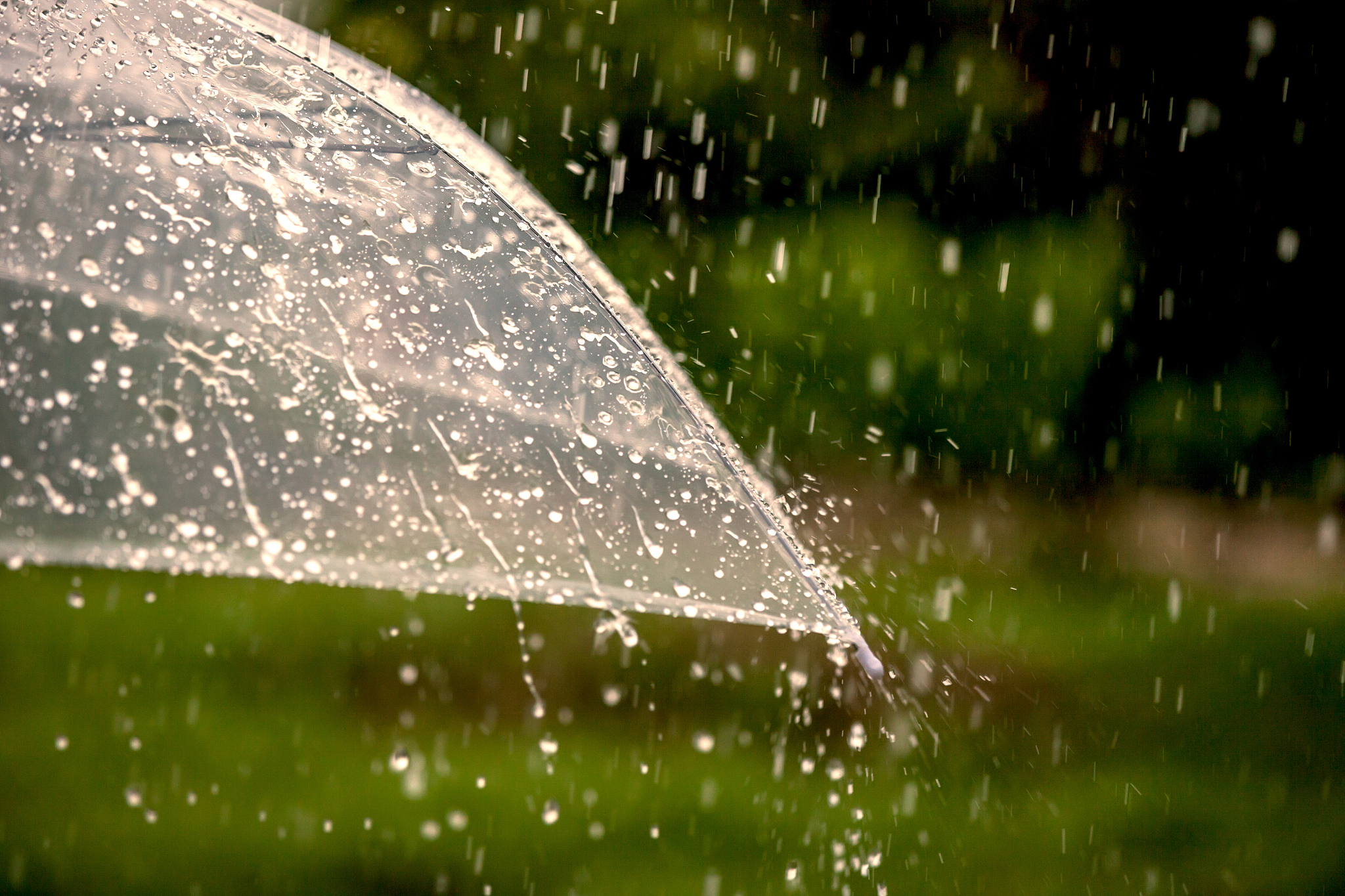 关于雨天写一首诗