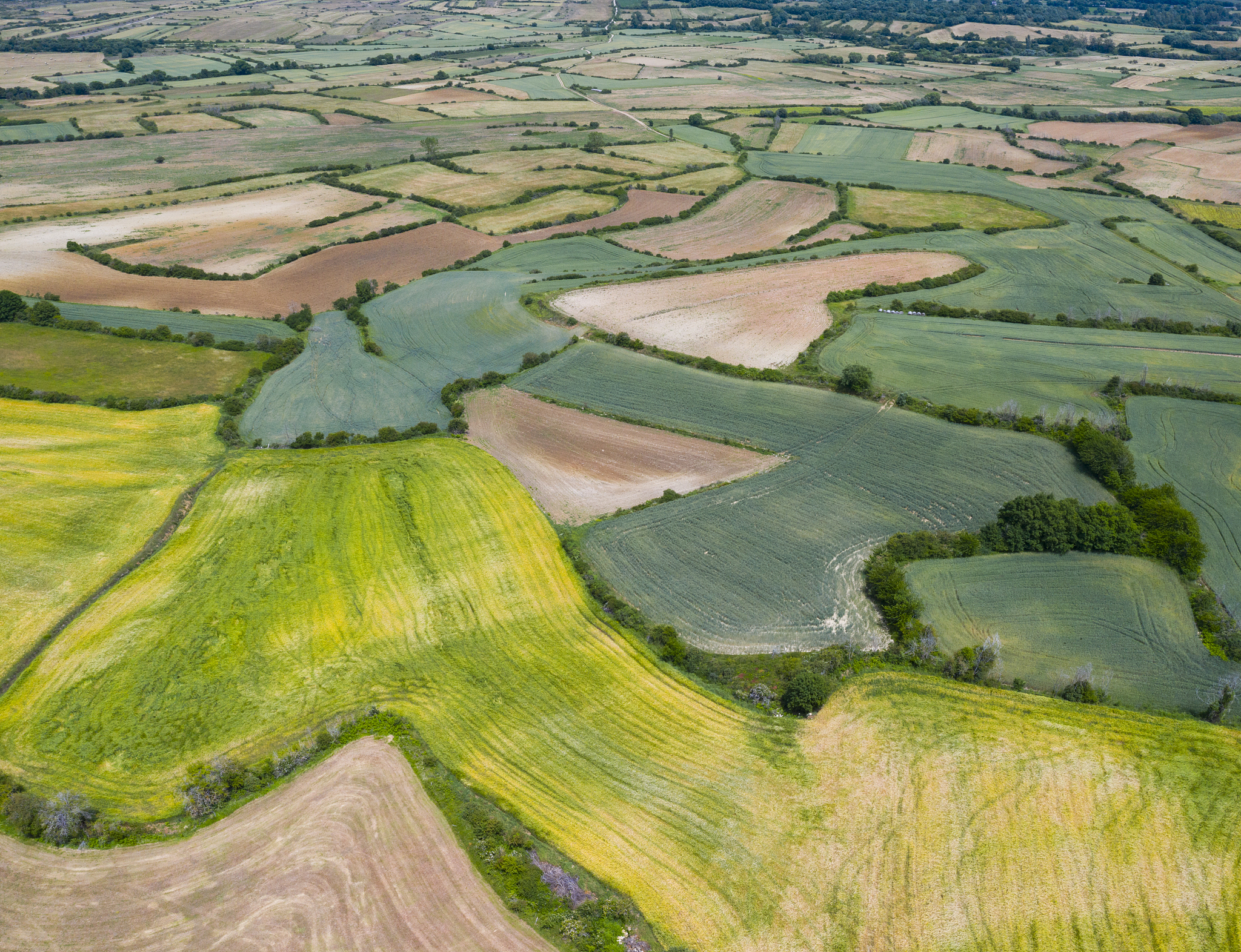 agricultural landscape, cuestahedo, merindad de montija, burgos,