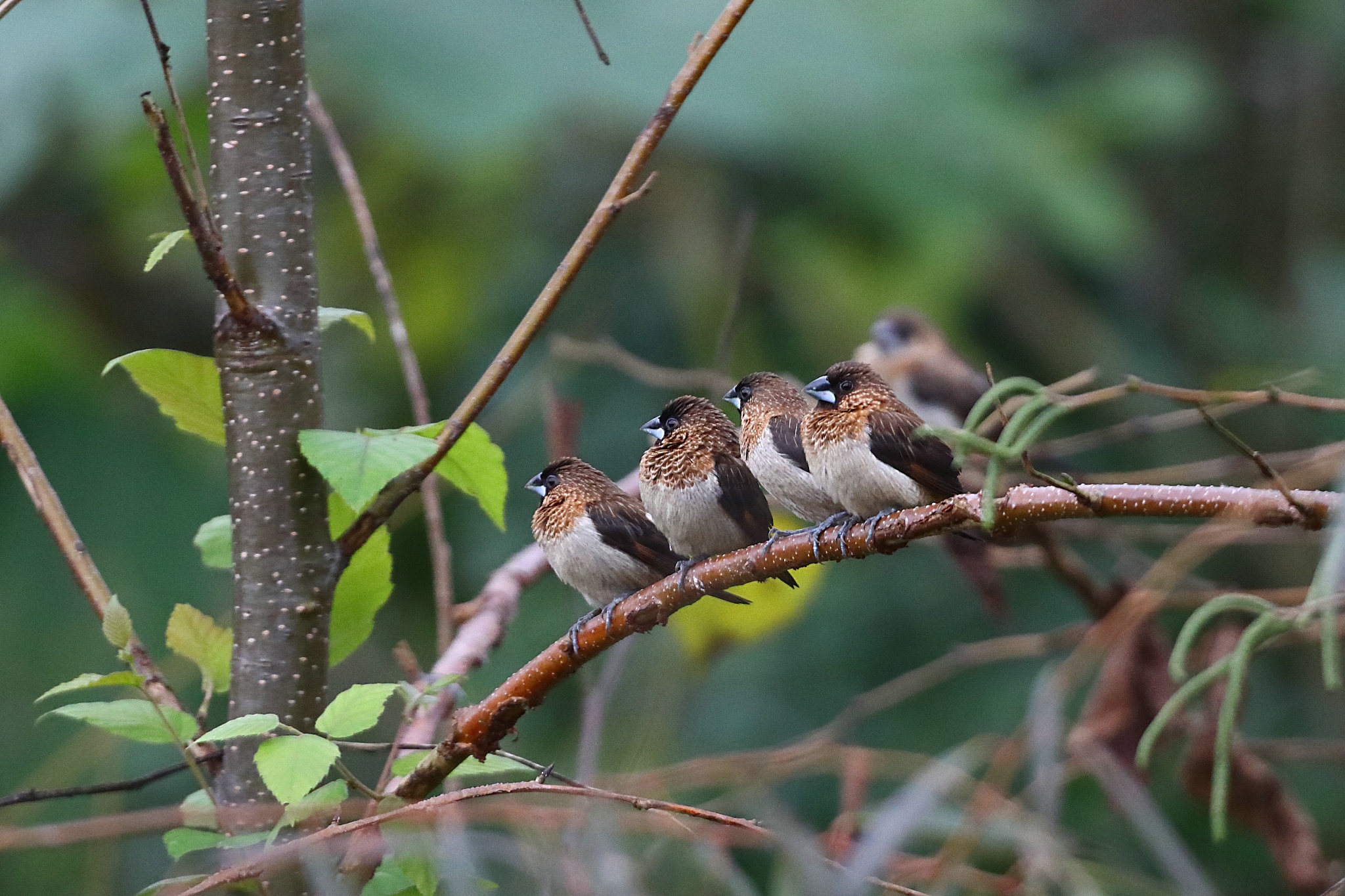 考试排座系统论文结论