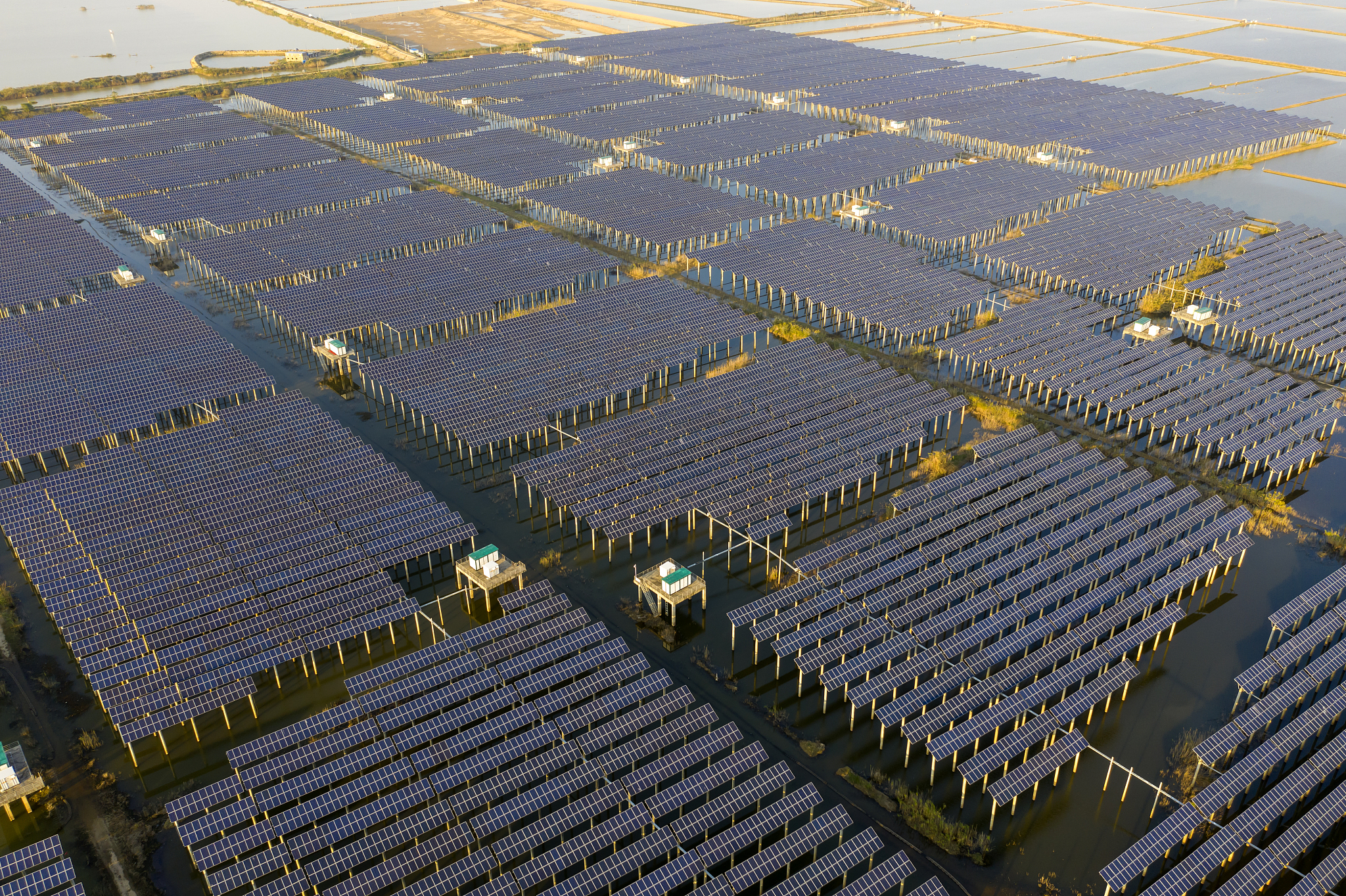 隆基绿能是太阳能行业最大的企业吗？