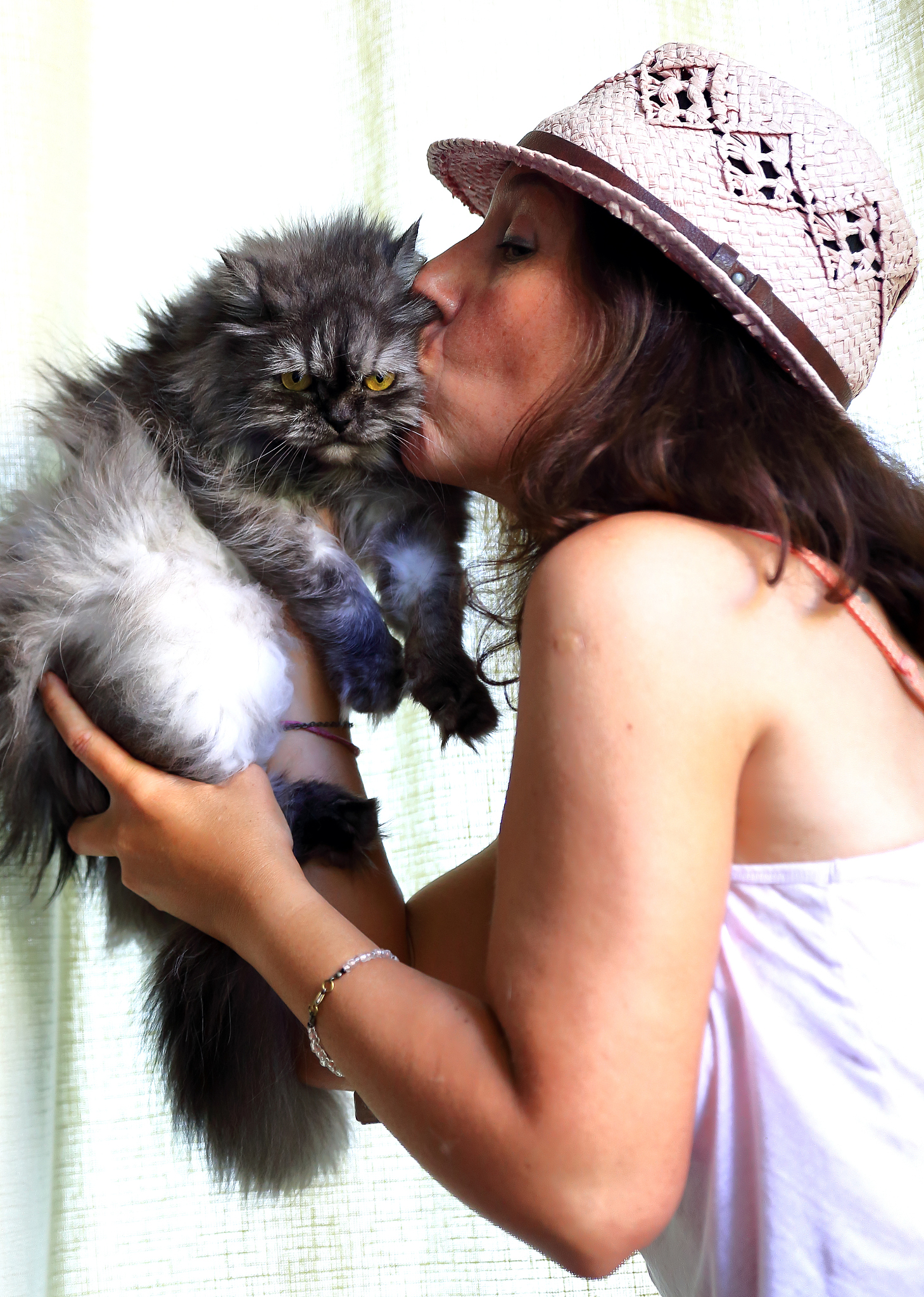 Why We Can't Get Enough of Cat Videos: Fun, Adorable, and Viral