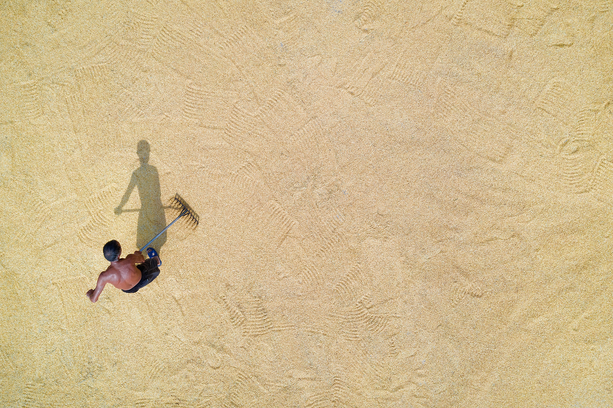 重庆江津职业学院烹饪专业优势解读：实践、师资、课程与就业