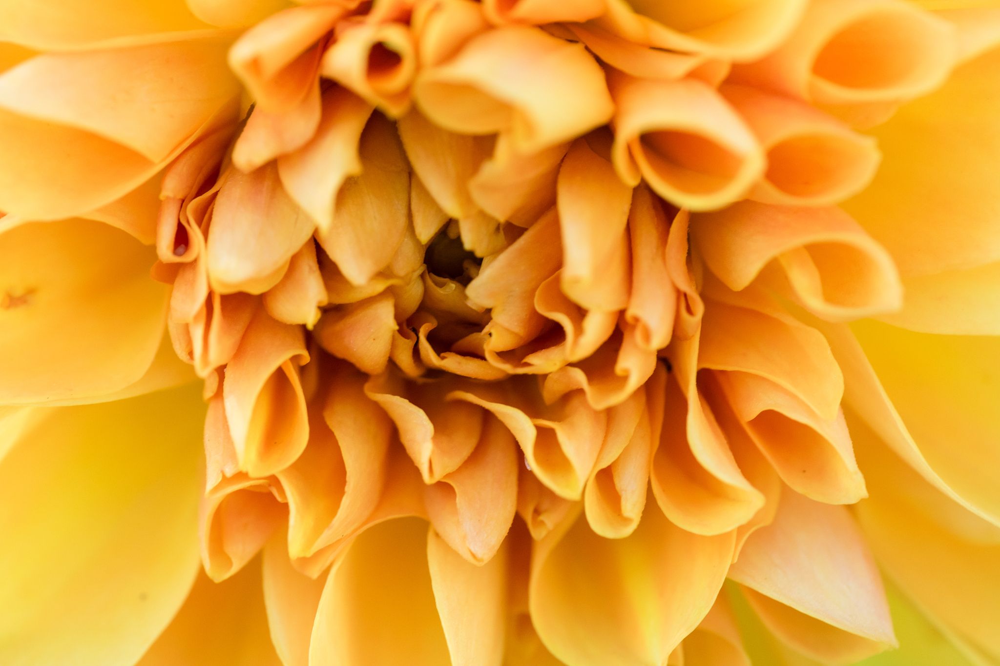 limxy-00 x+yarctan1xx+yy中文