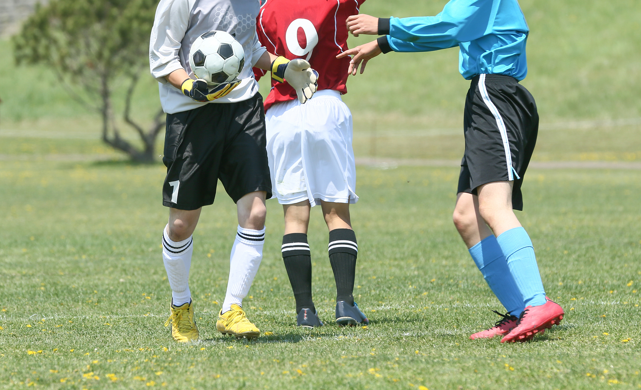soccer