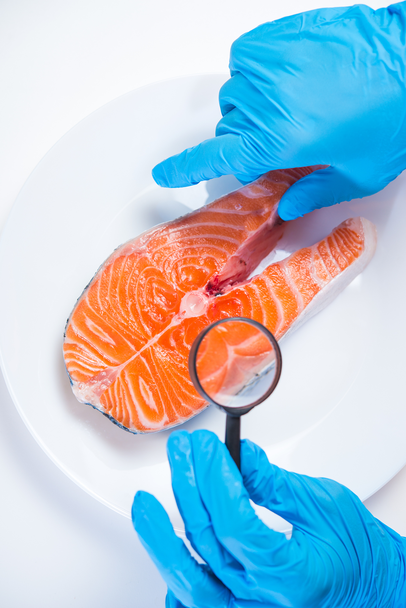 临洮农业学校2023年招生办联系电话