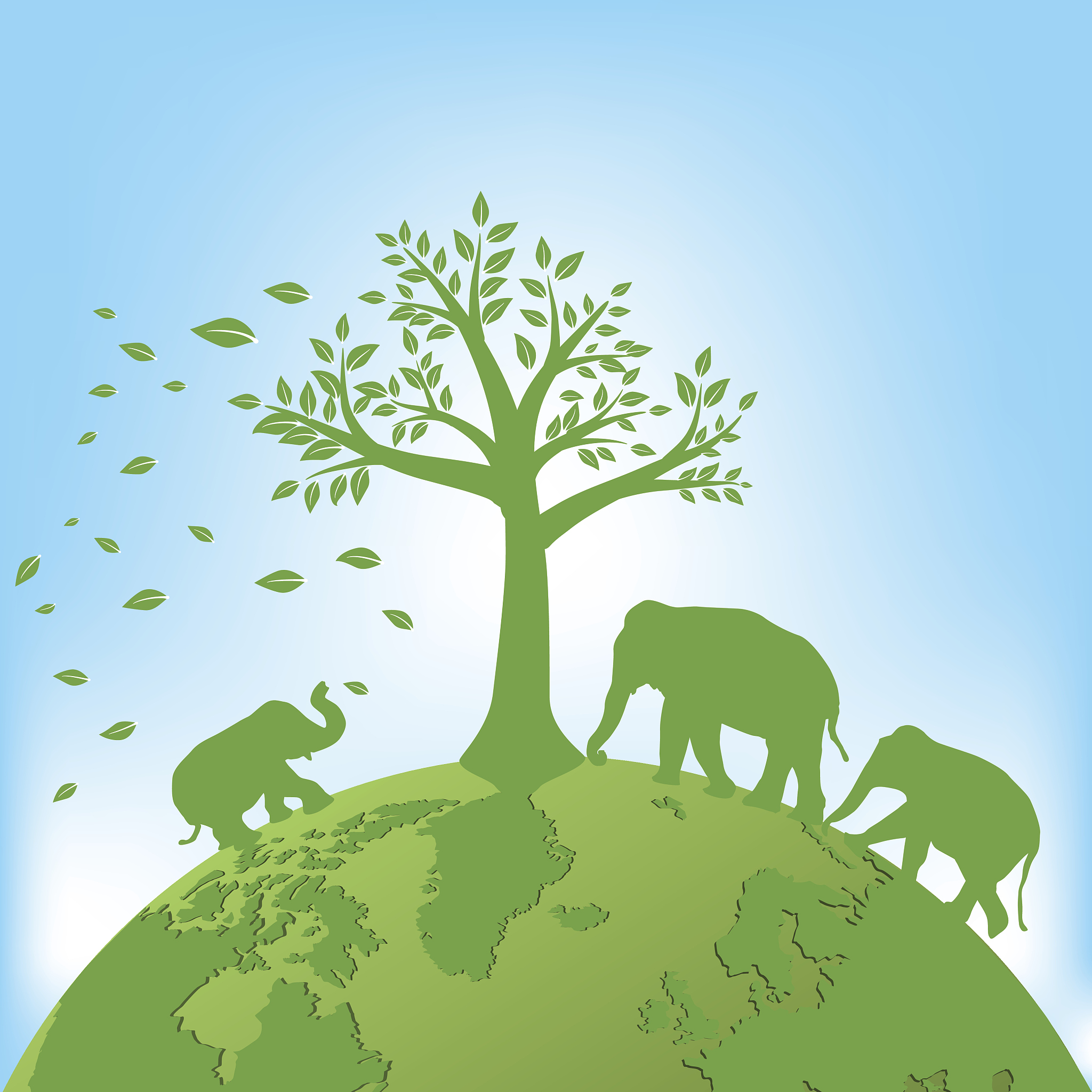 eco earth112