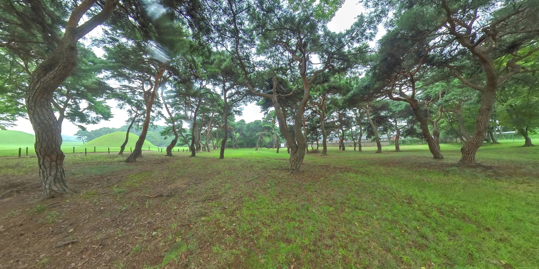 world heritage site_gyeongju historic areas"n