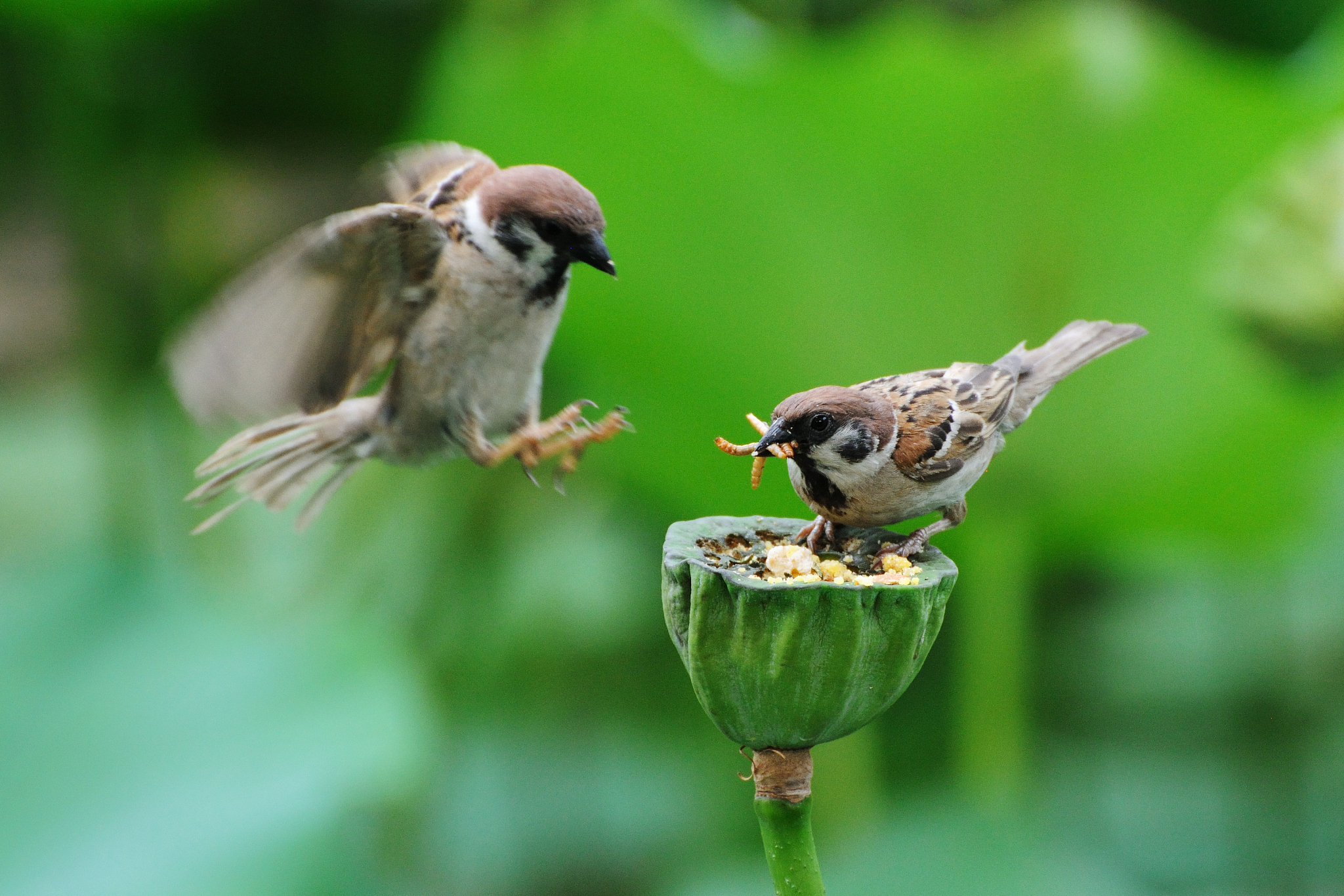 保定市莲池区职教中心2021年招生简章