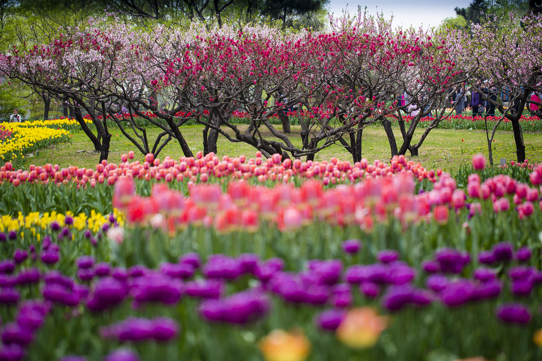 天津哪里踏春前十