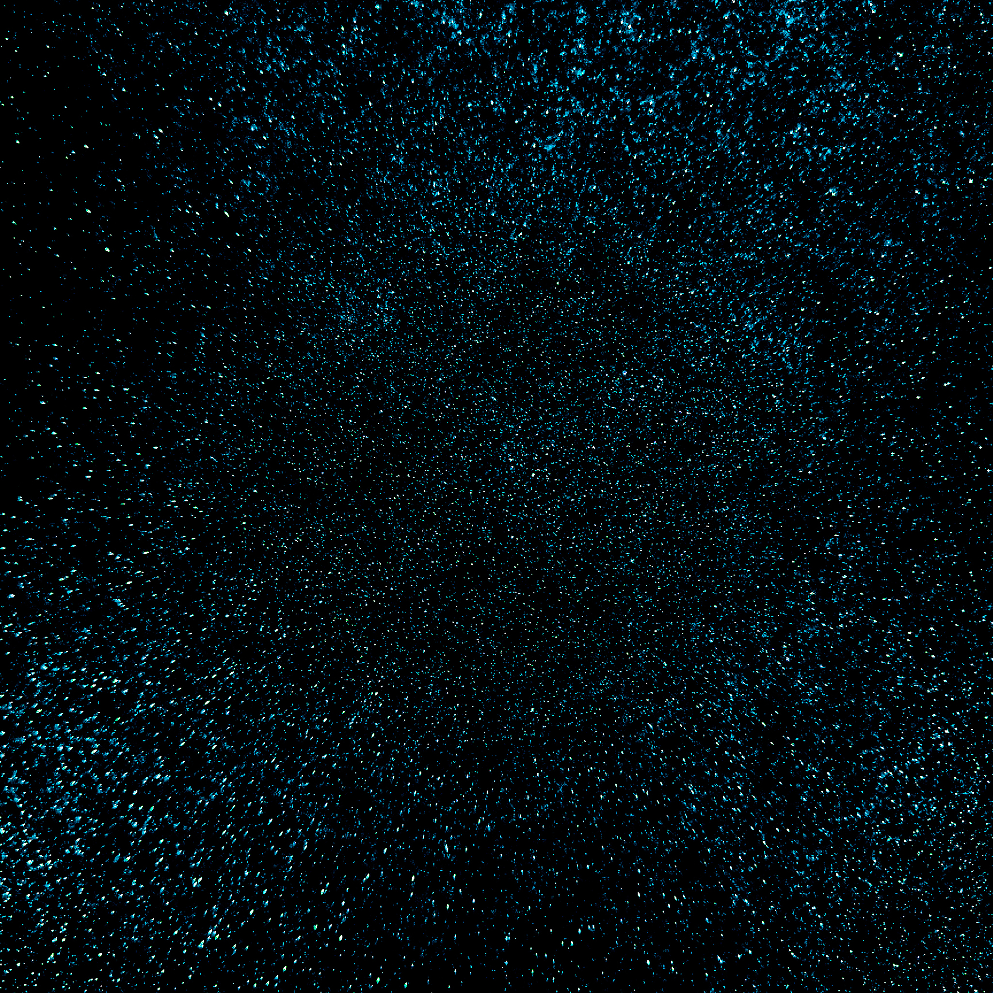 如何使用 CSS 渐变将 Van-rate 星星变为渐变颜色