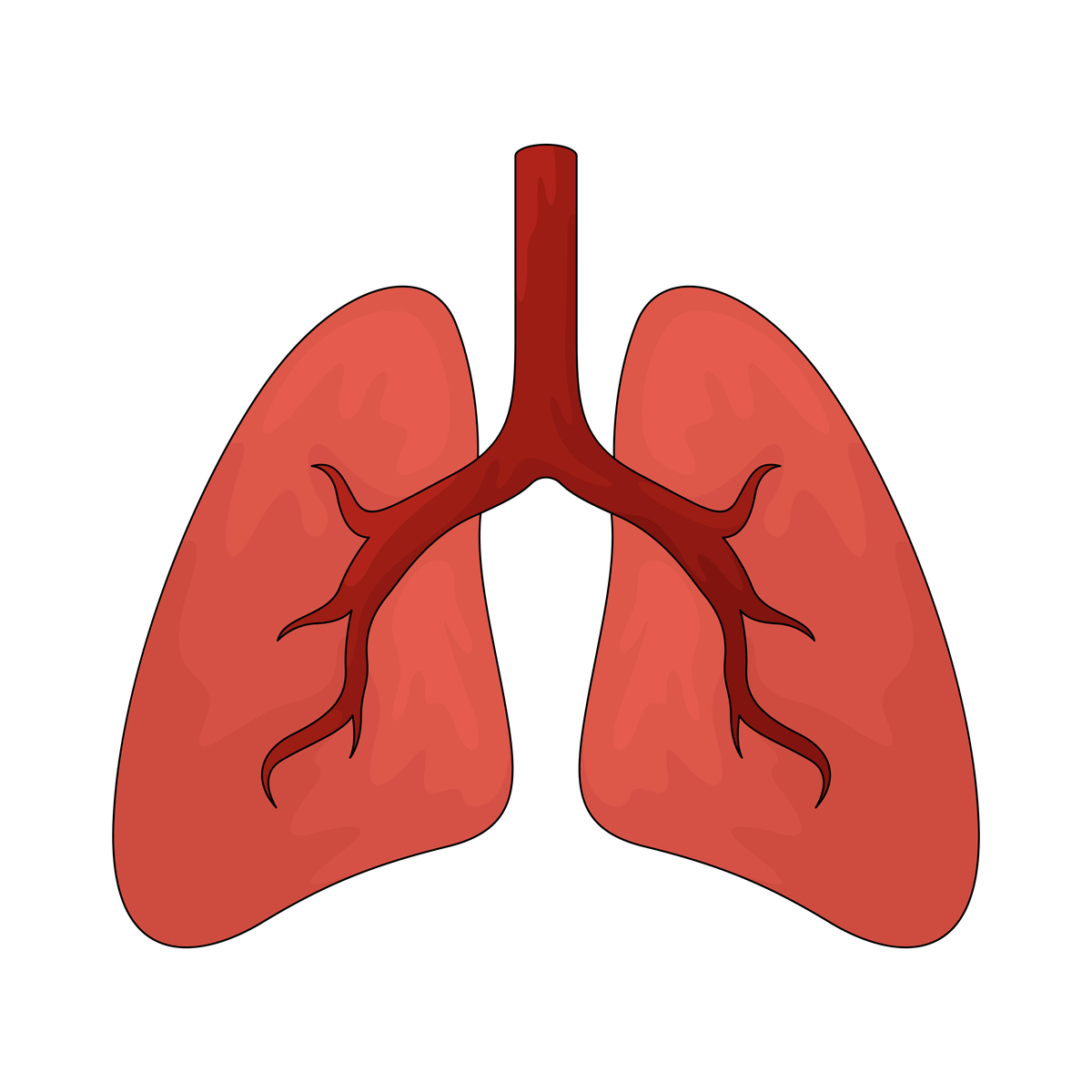 肺不好有哪些症状？常见症状及就医建议