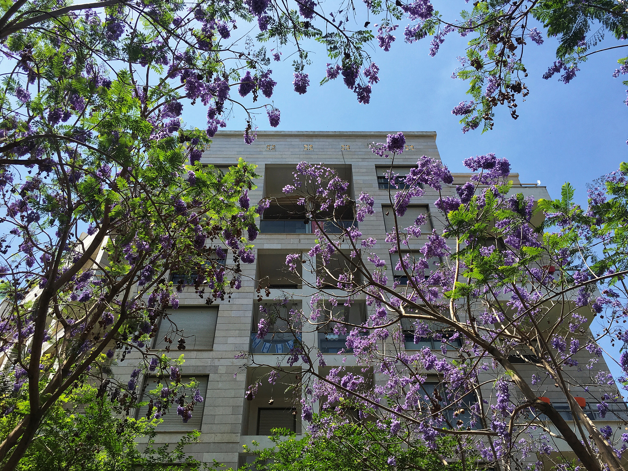 广西大学行健文理学院园林专业：培养未来园林人才