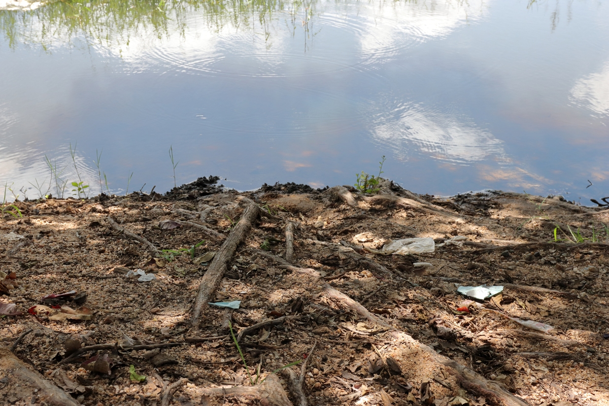 太湖生态清淤底泥固结余水处理：水污染监测与治理结论与展望