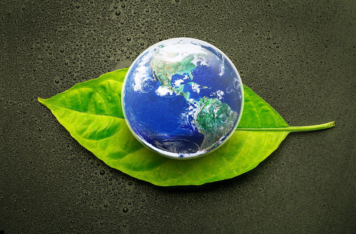 听地球在哭泣 写一篇300字小学作文