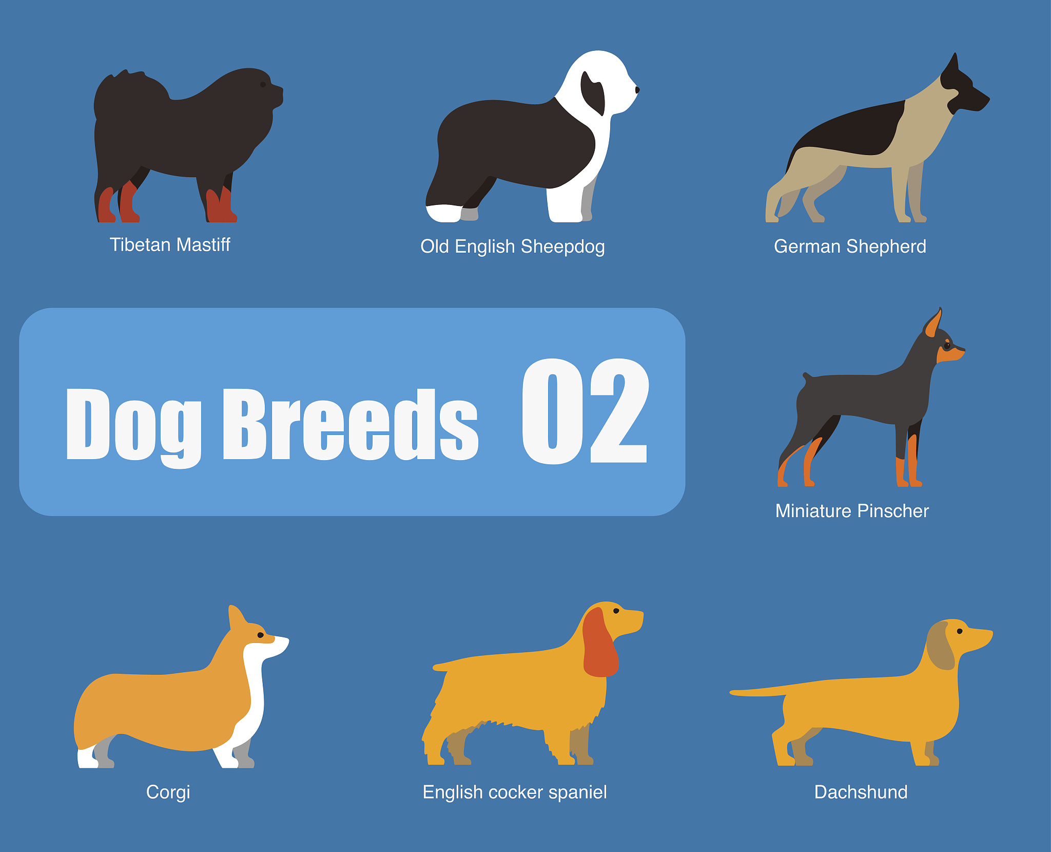 写一首关于一只爱跑的名叫 Speckles 的狗的乡村歌曲