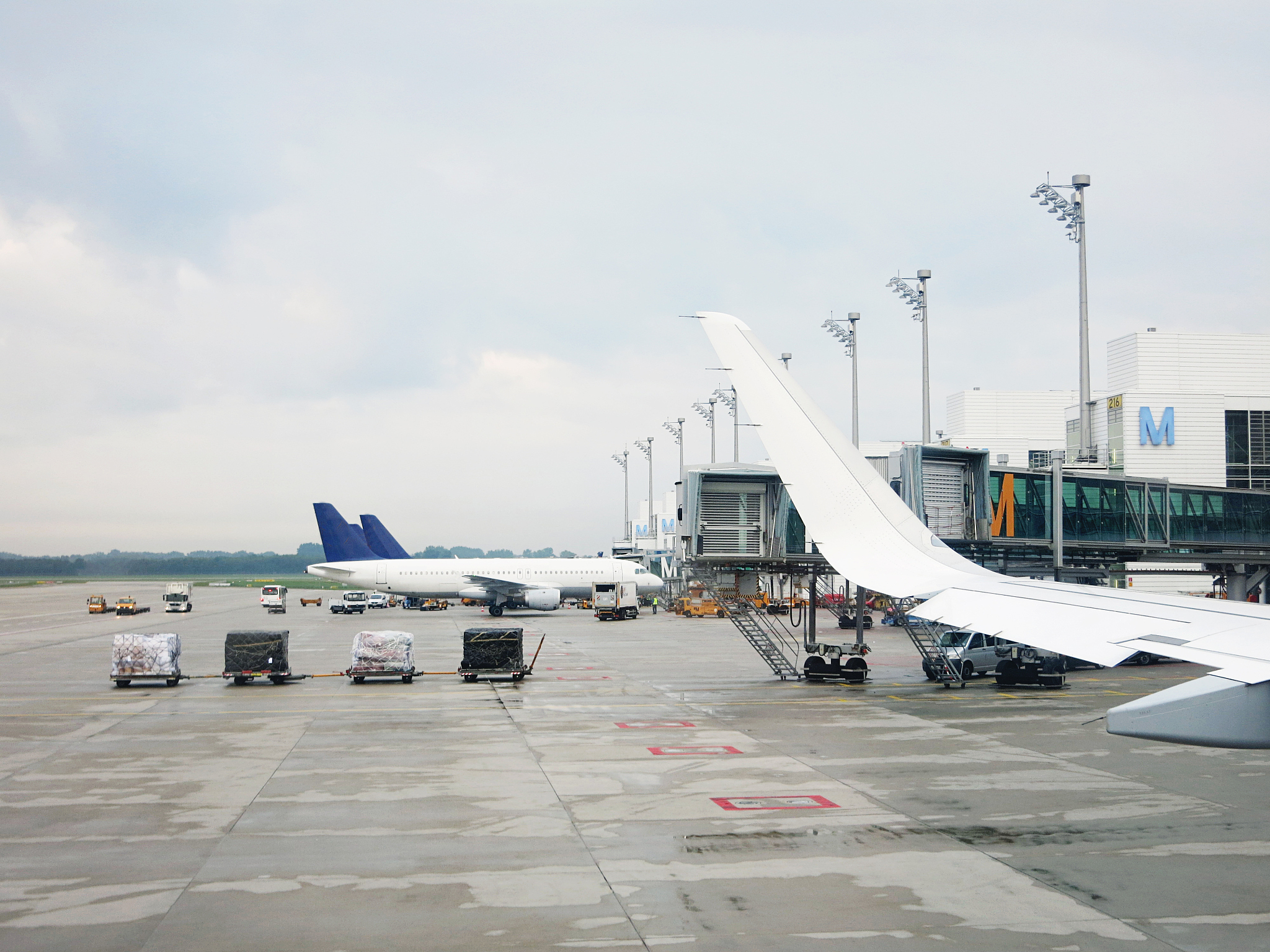 佛罗里达州有去日本的飞机吗？或者是拉斯维加斯的飞机