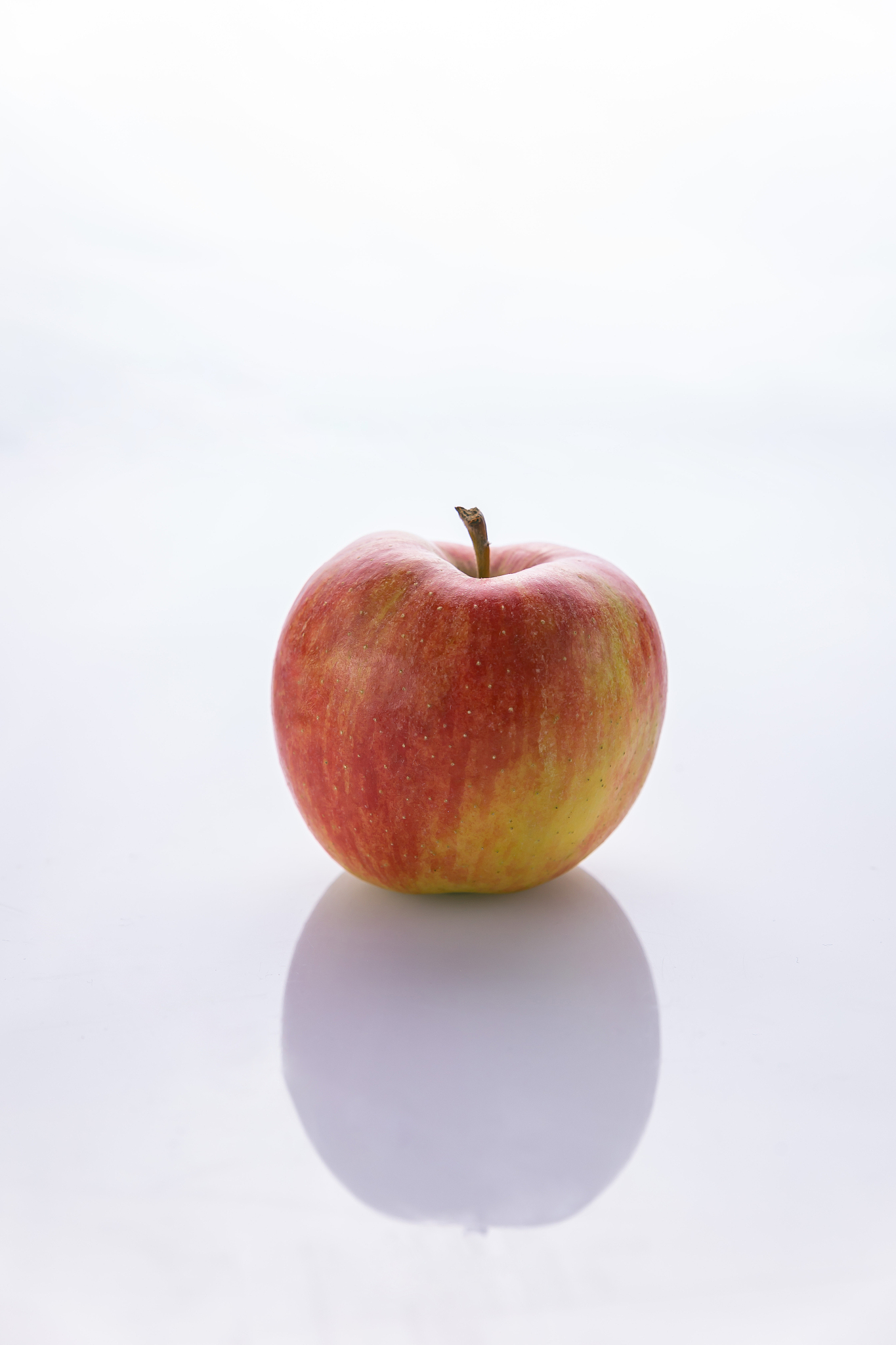 red apples on a white background