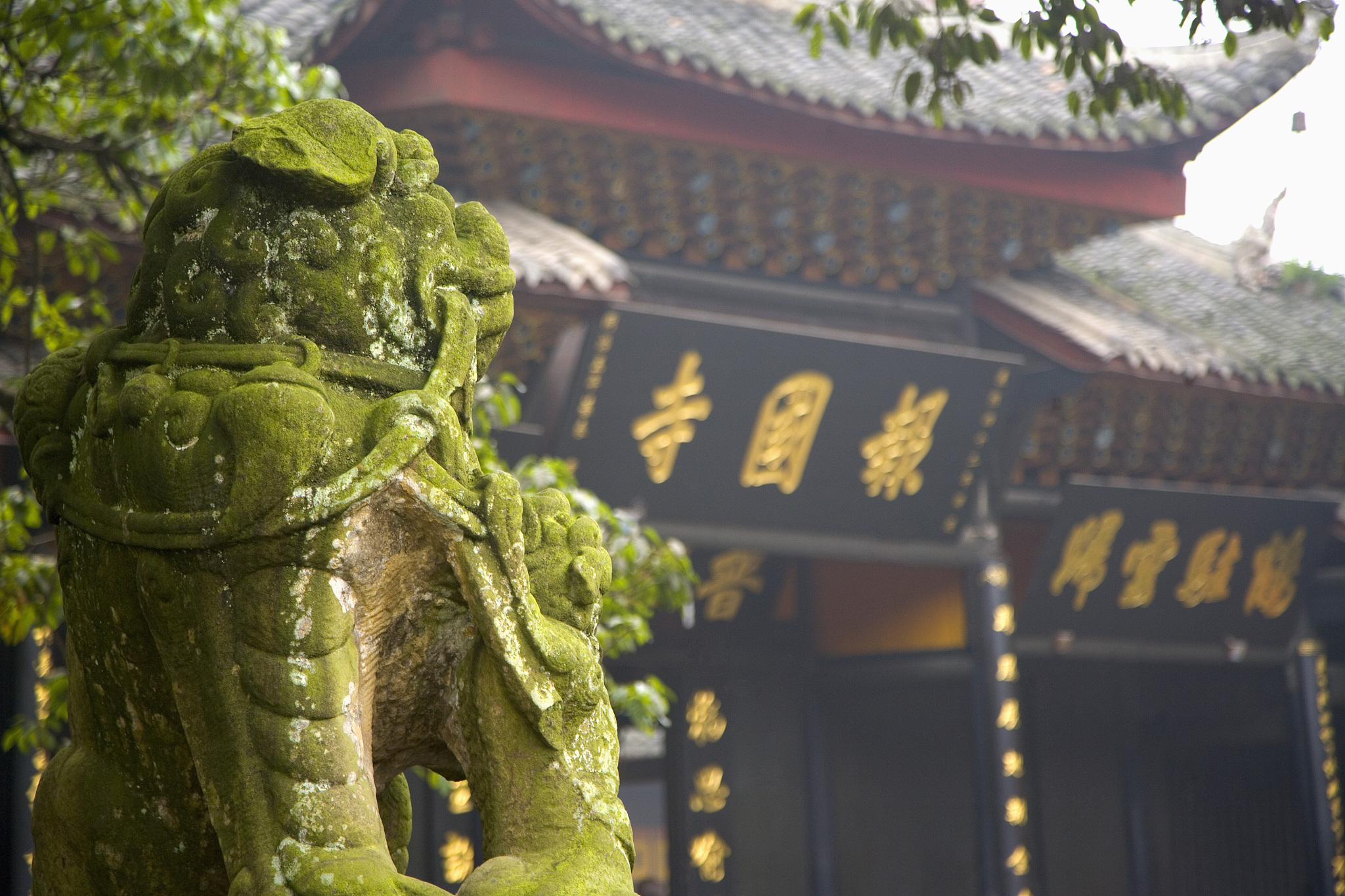 四川省德阳市旅游职业学校美容美体艺术专业：值得选择吗？