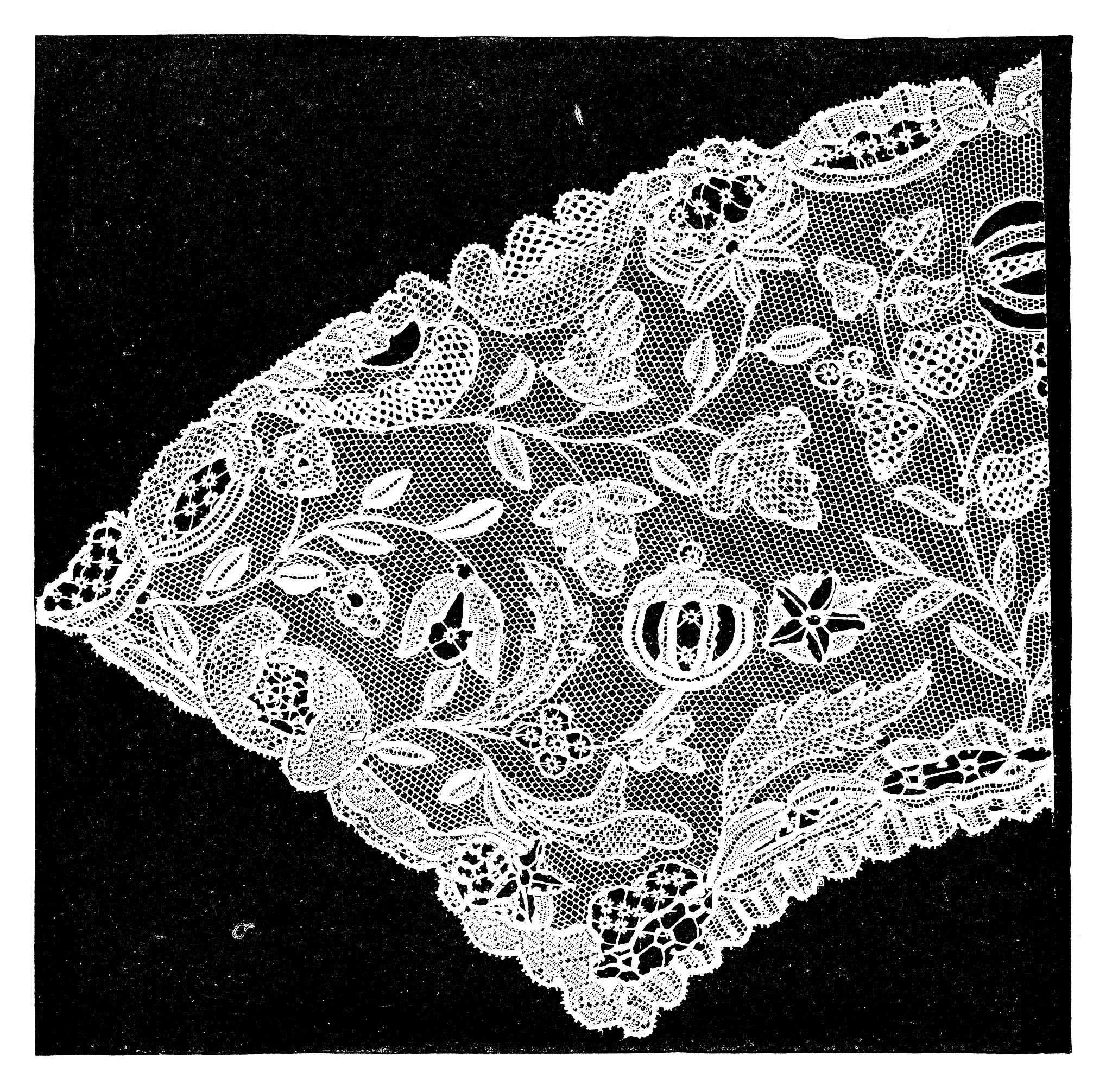 高粱茎直径提取方法：基于点云切片和椭圆拟合