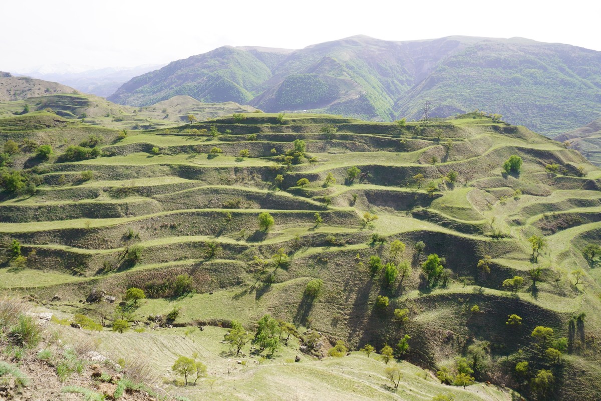 在水土保持中植被恢复的意义