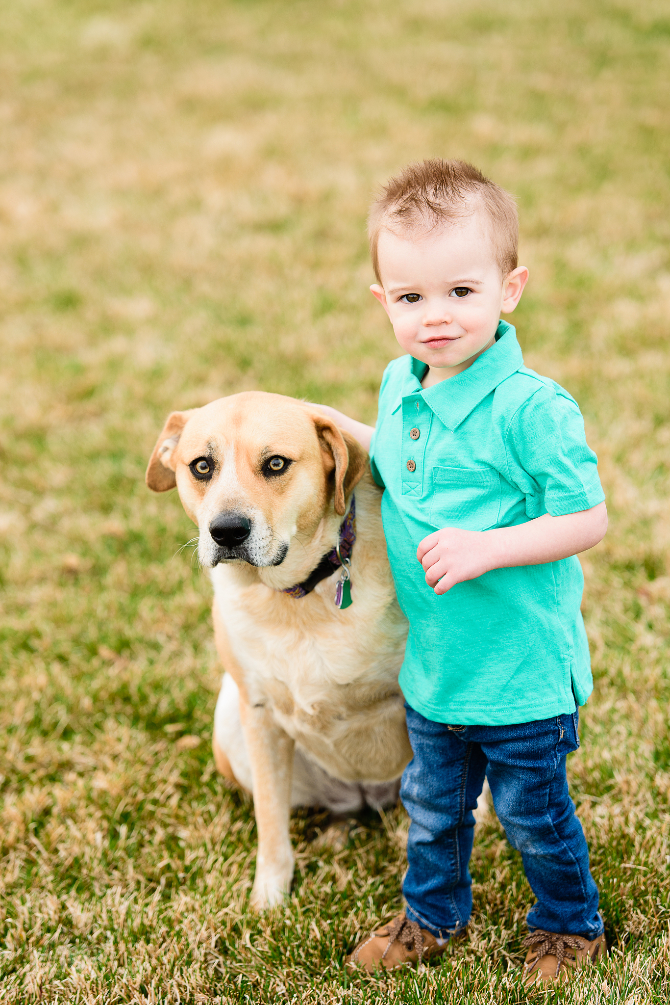 我们家的新成员 写一篇300字小学作文