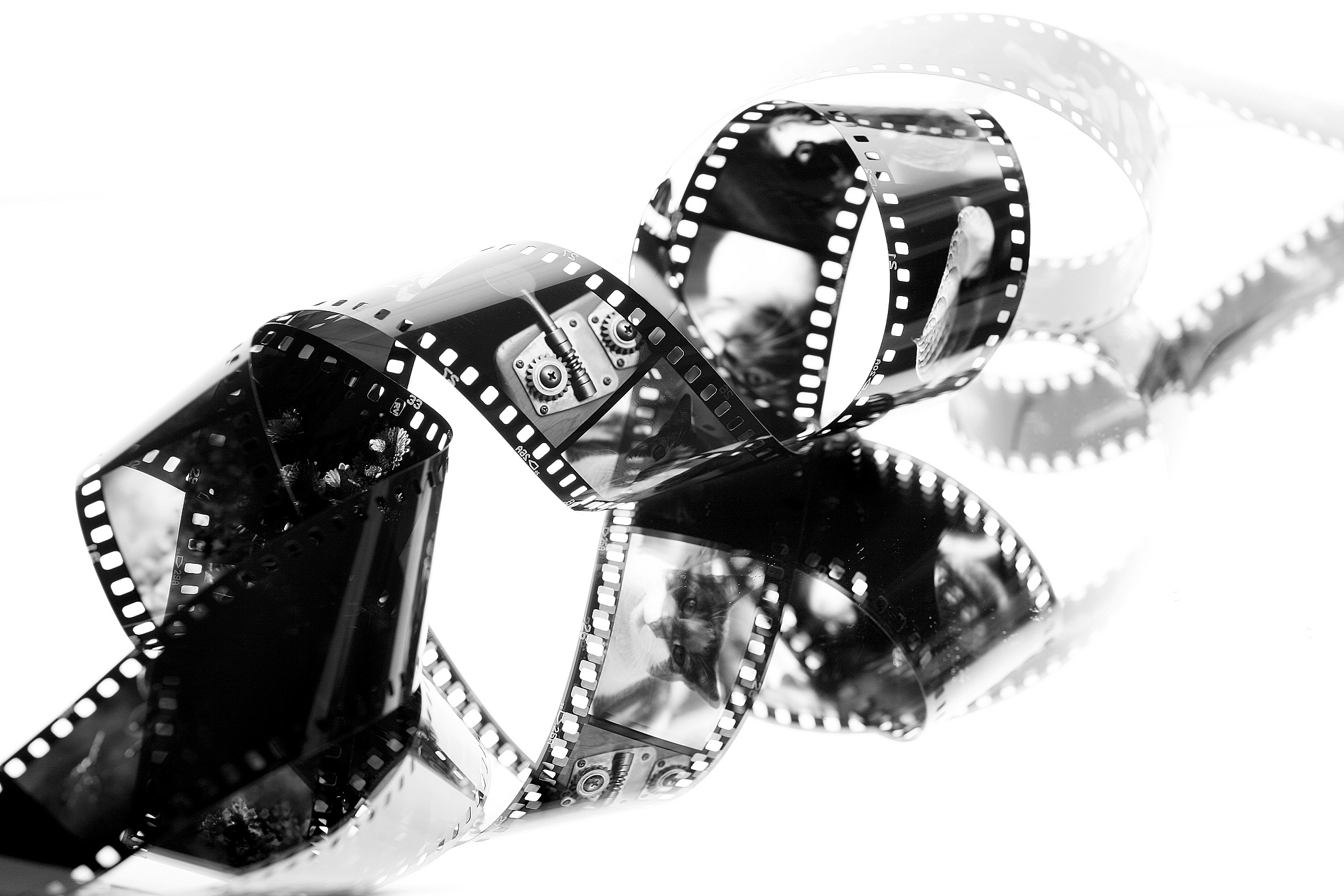 black and white film
