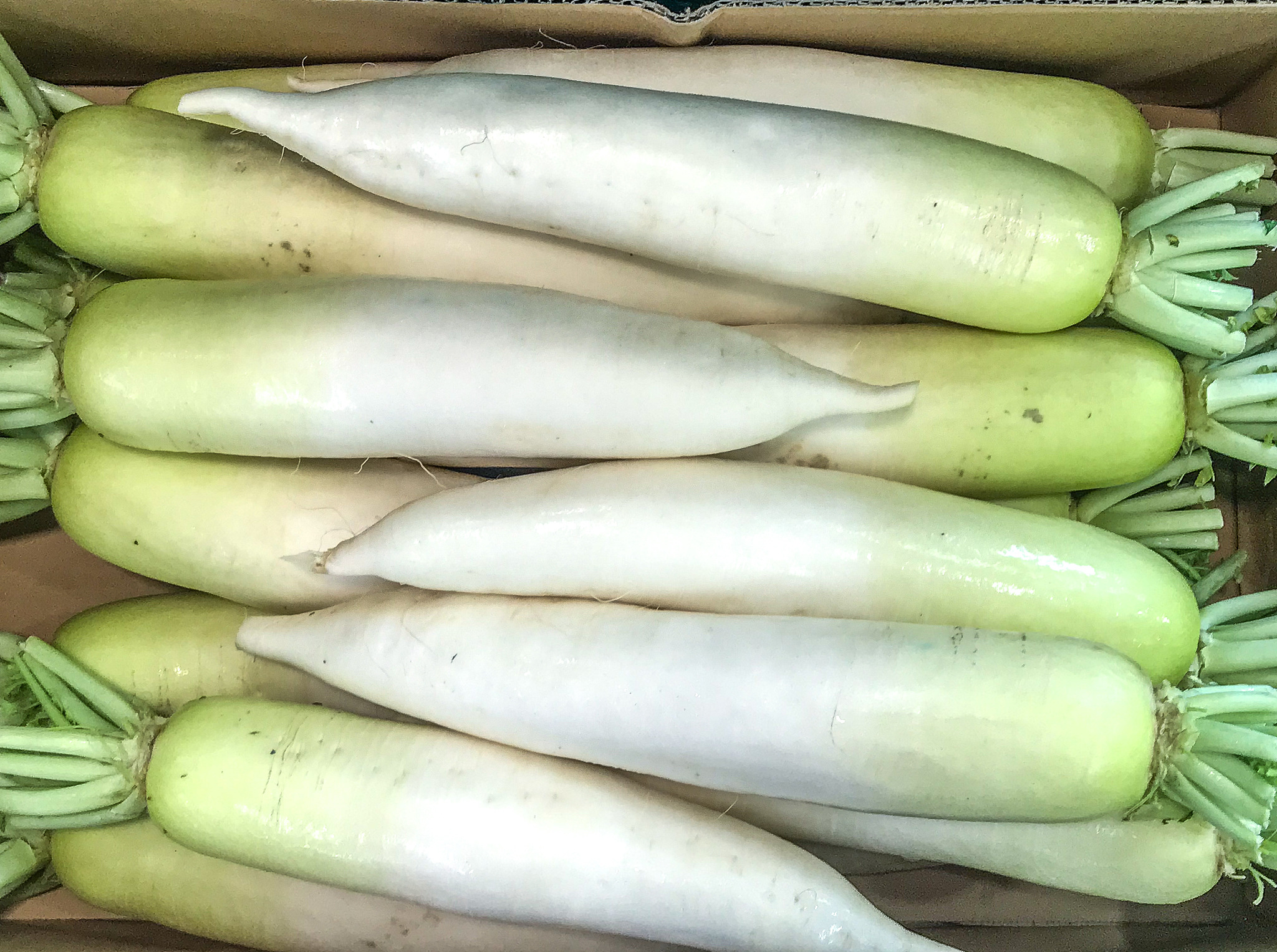 户外拓展方案流程全解析：从目标设定到持续跟进