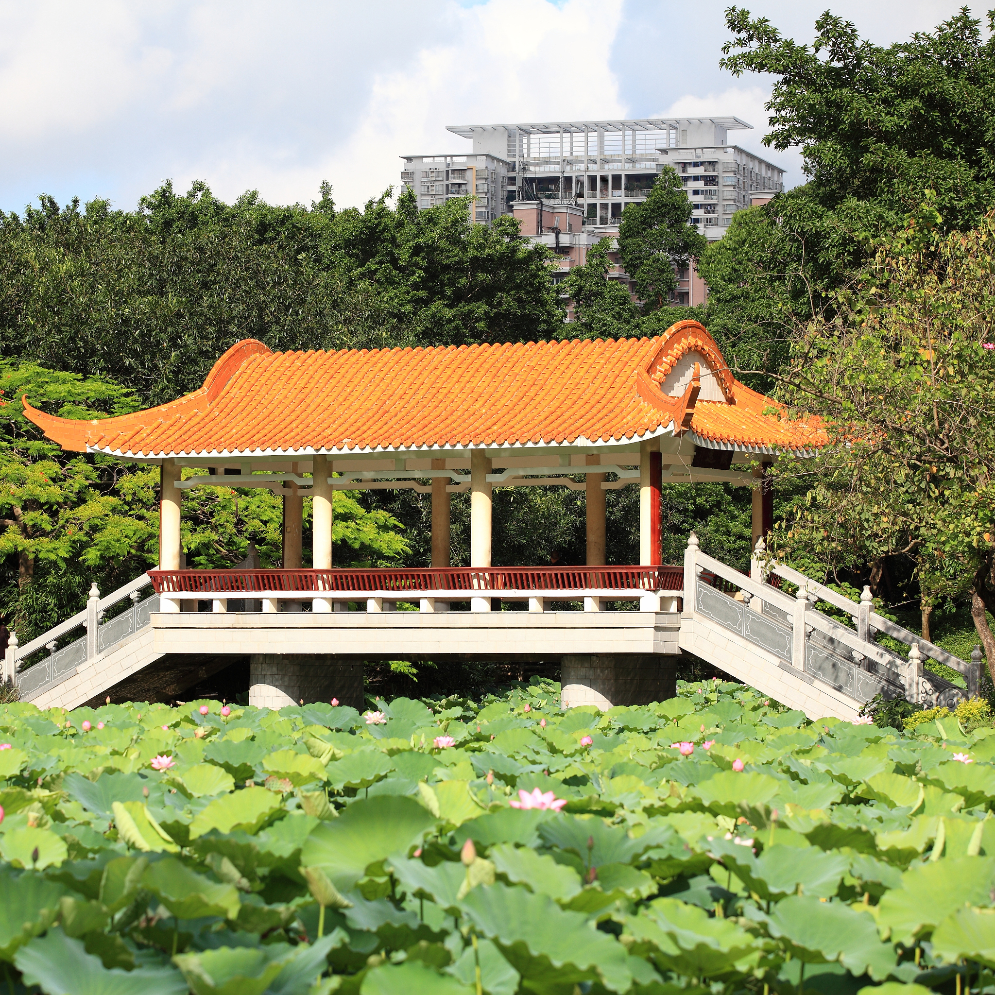 深圳莲花山公园