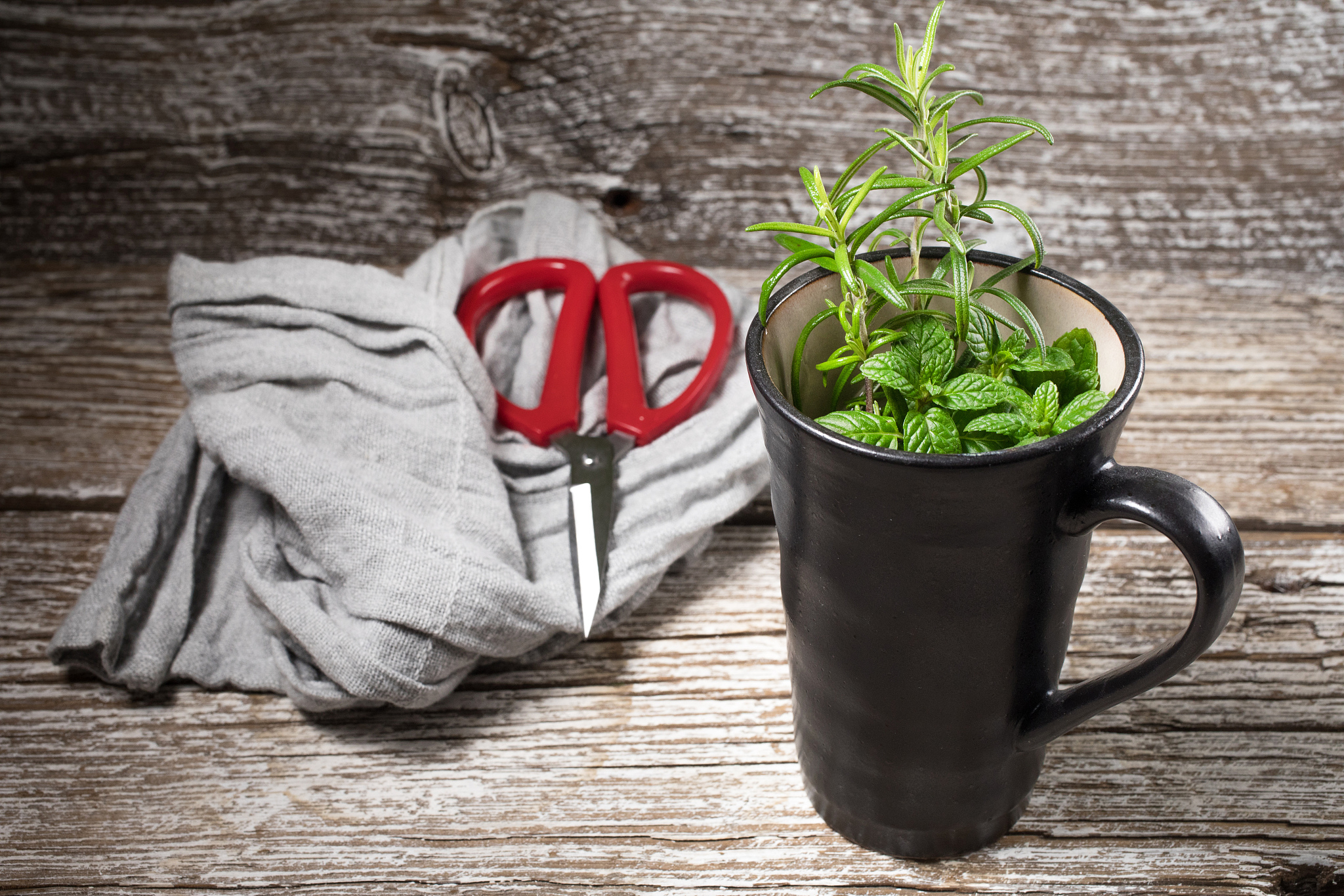 形容一下薄荷和迷迭香混合在一起的味道