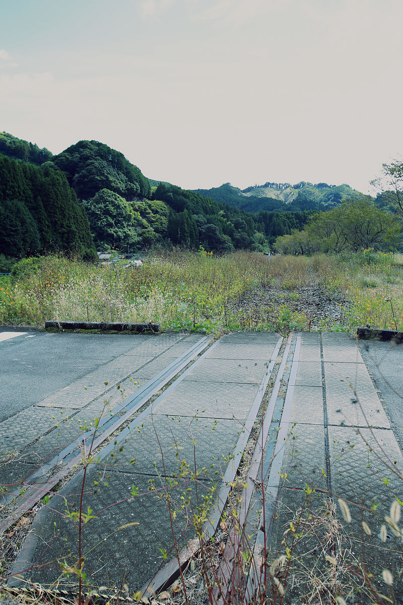 中断服务函数运行时可以有比这个中断优先级低的中断发生吗