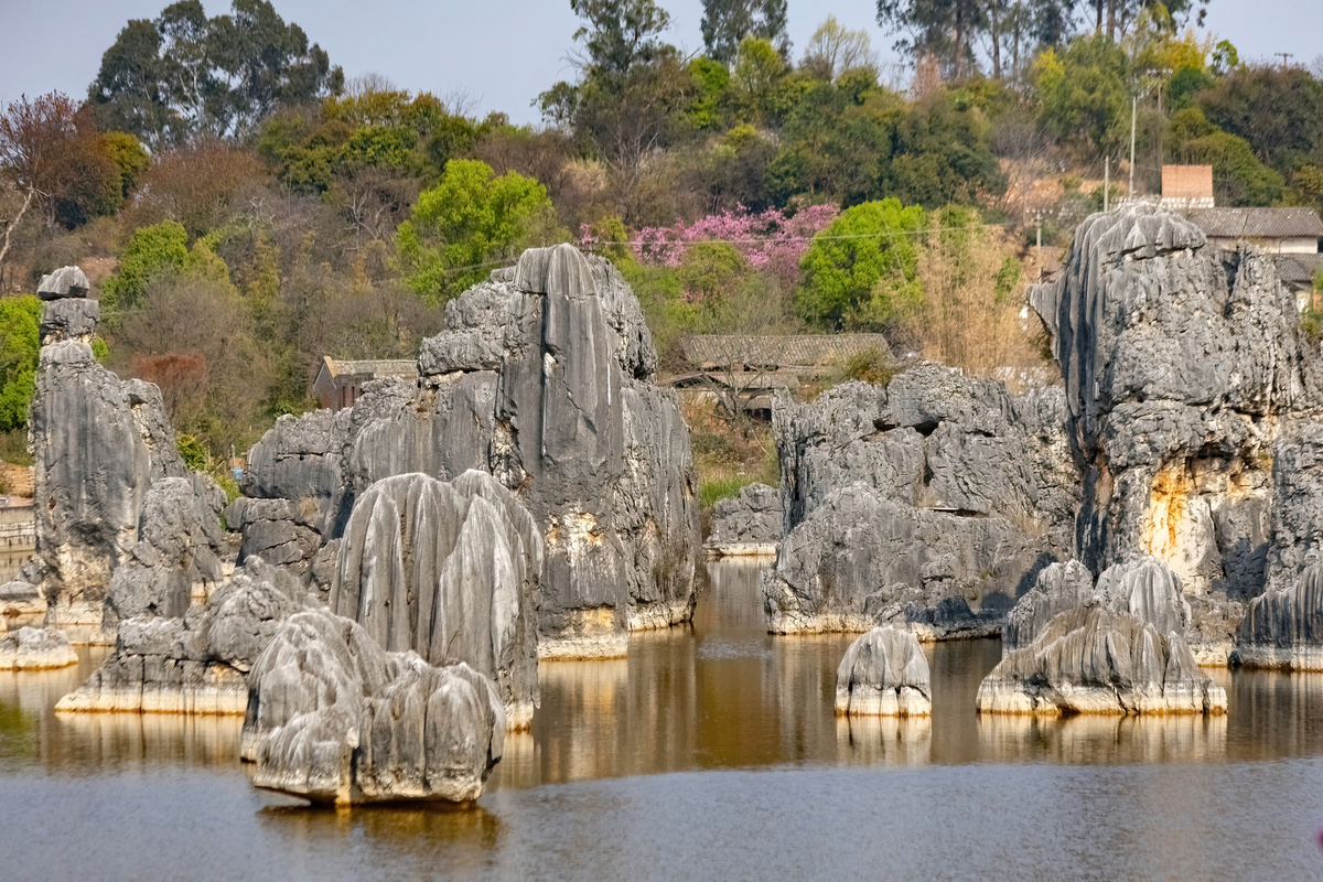 昆明旅游攻略：探索春城魅力，体验民族风情