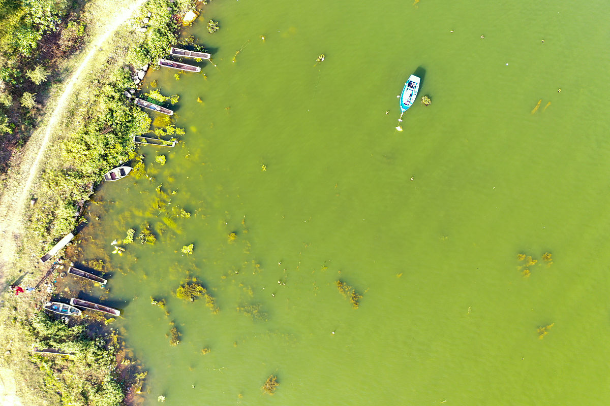 河湖长制群众参与：你的声音，守护美丽河湖