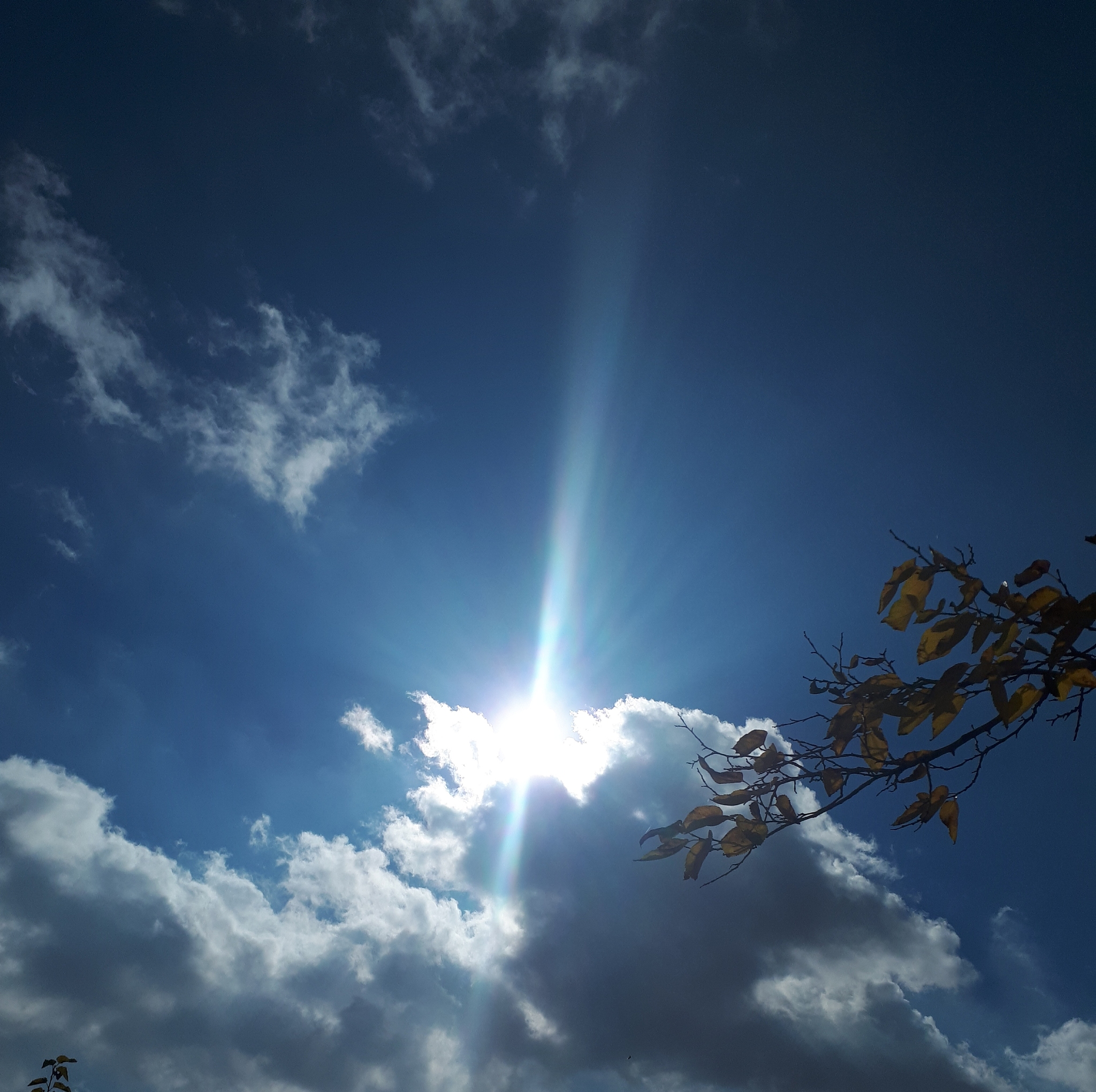 天空为什么是蓝的