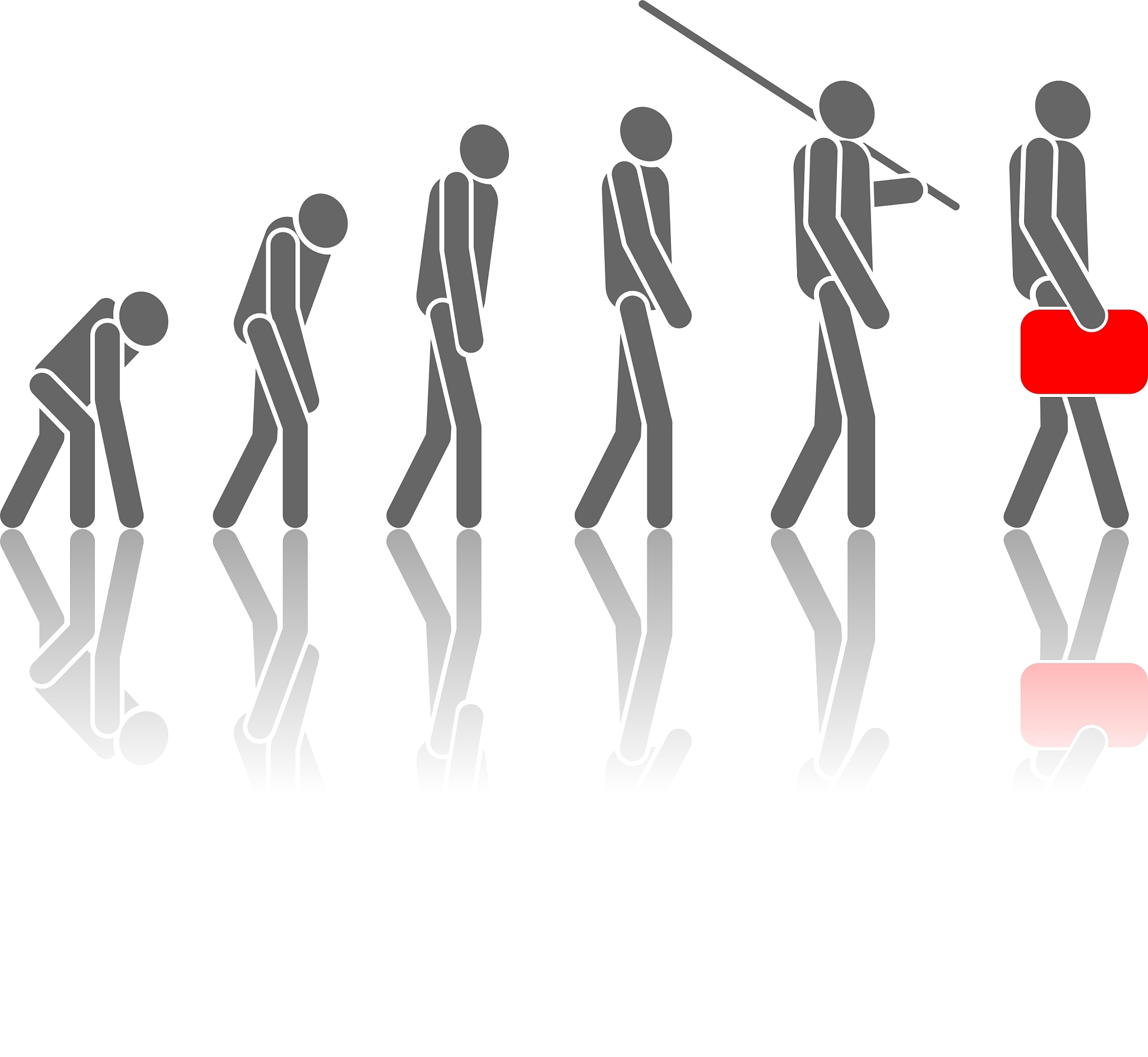 Evolutionary Applications期刊稿件类型详细介绍