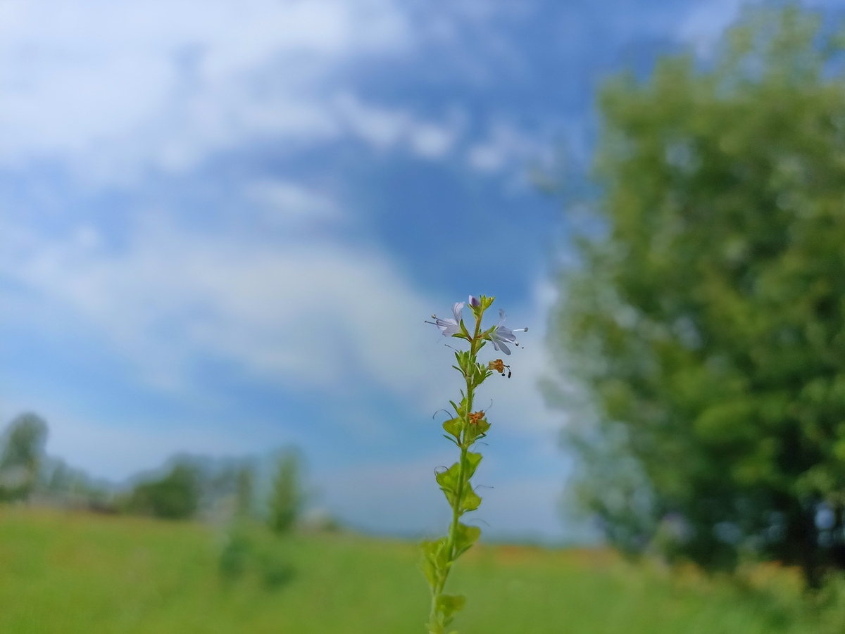 春天的美好：万物复苏，欣欣向荣