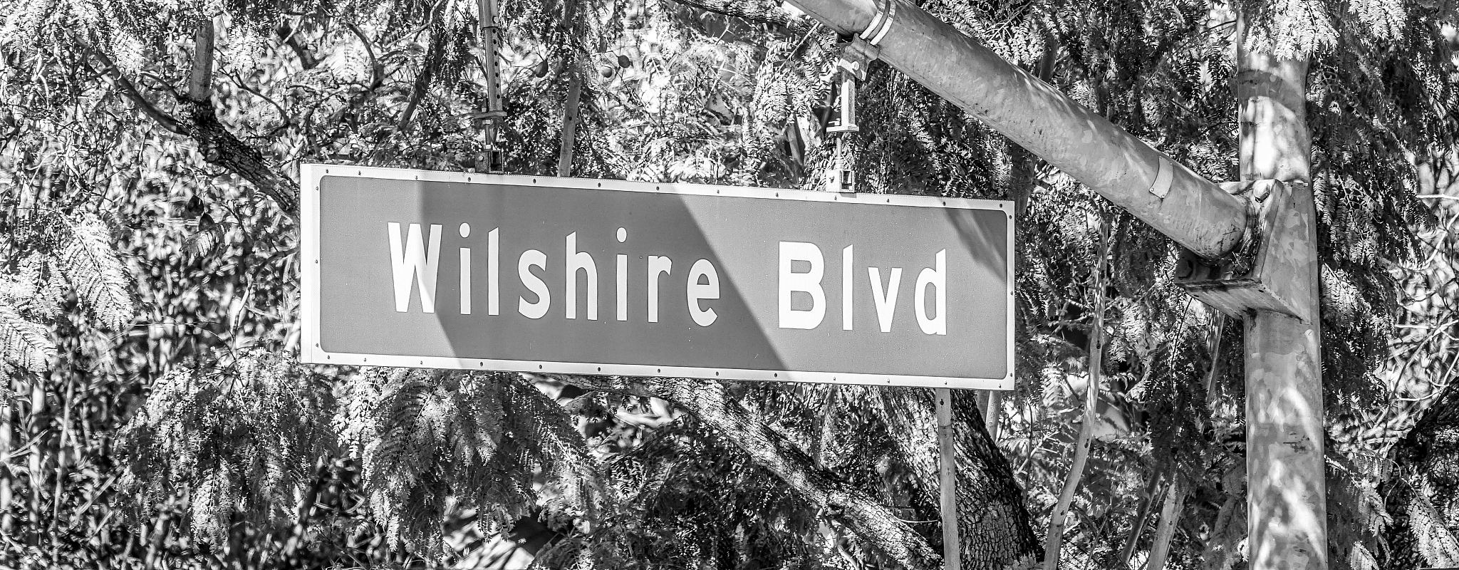 25岁是几几年出生的