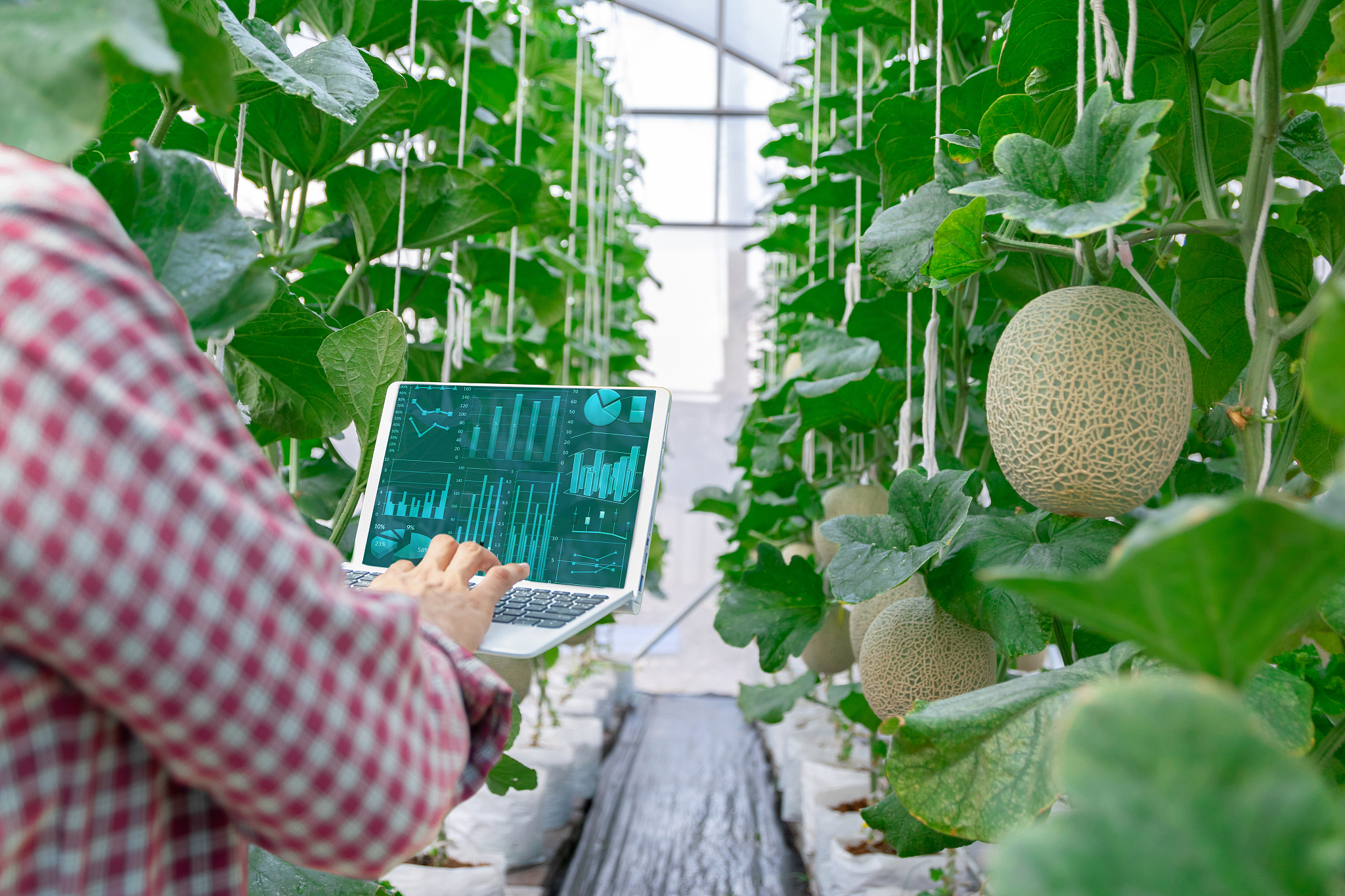 人工智能+农业时代发展的益处