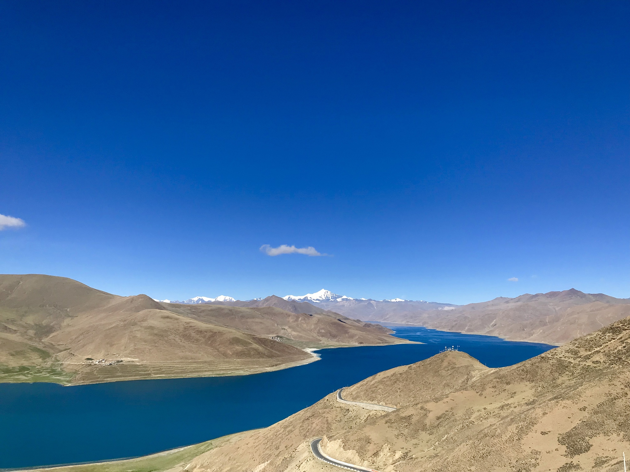 拉萨河鱼类资源丰富，高原锦鲤成“西藏之宝”