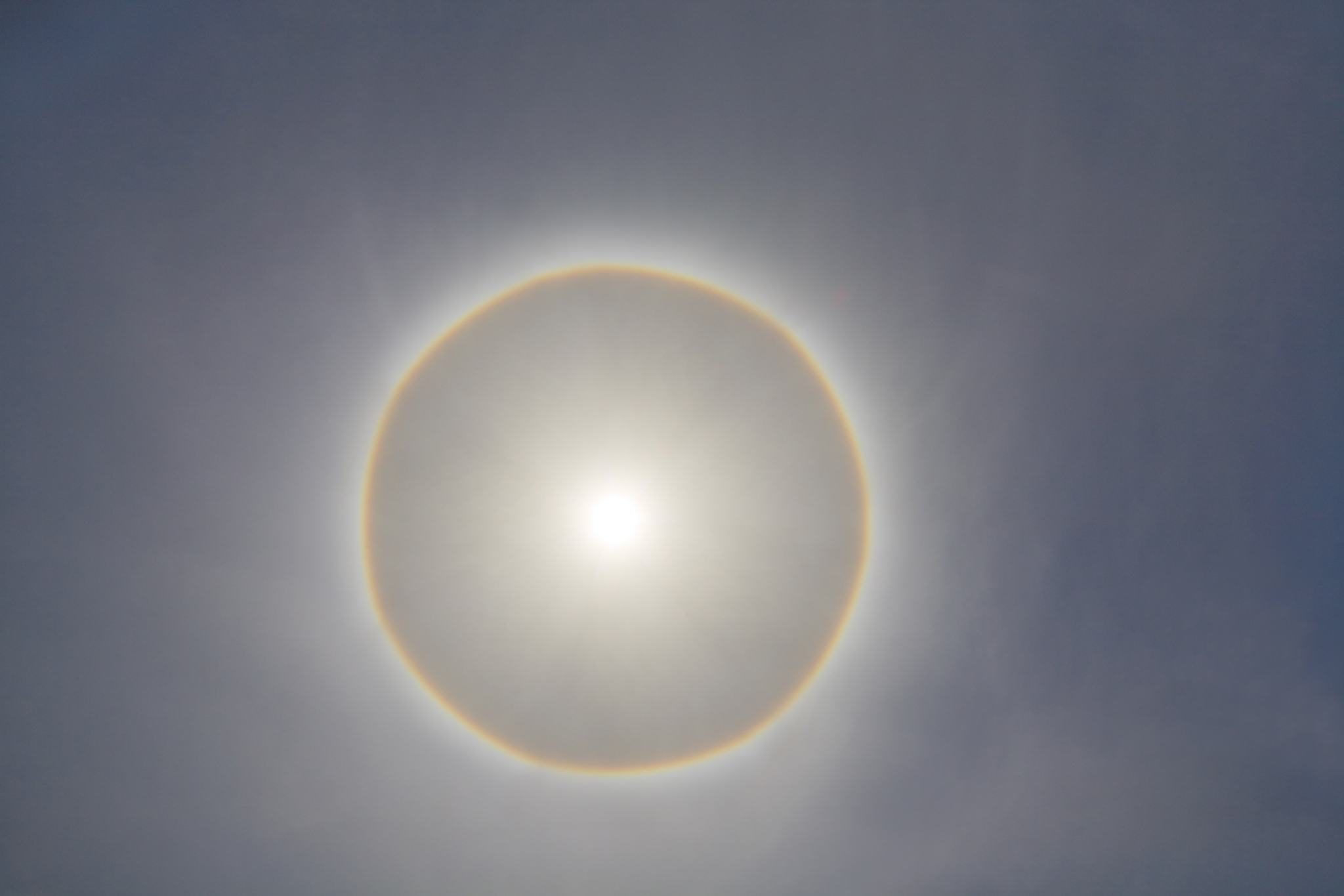 sun dog