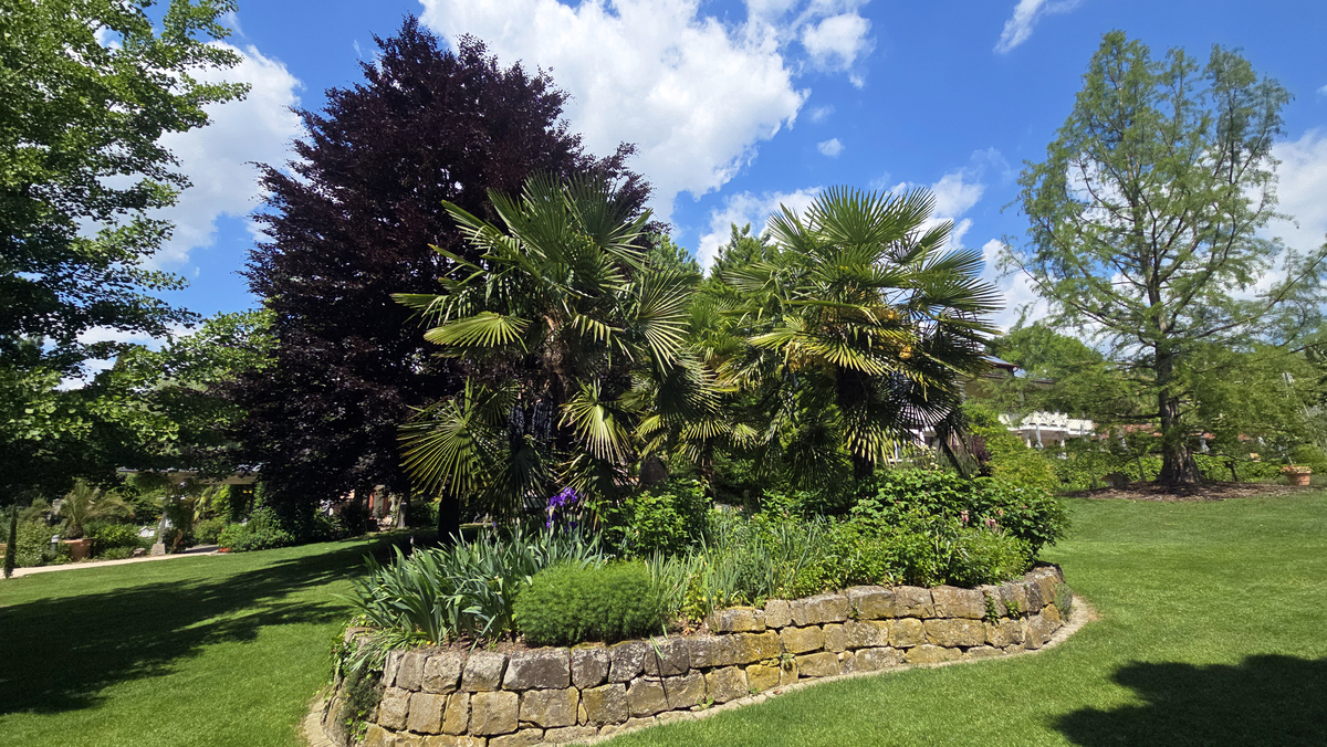 若旭绿化 设计一个slogan