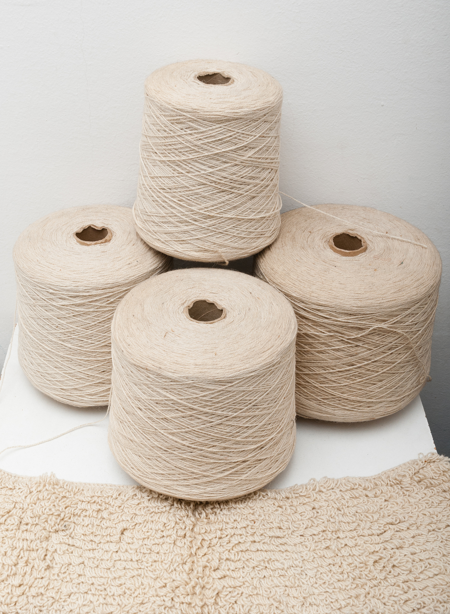 广东纺织职业技术学院有哪些专业