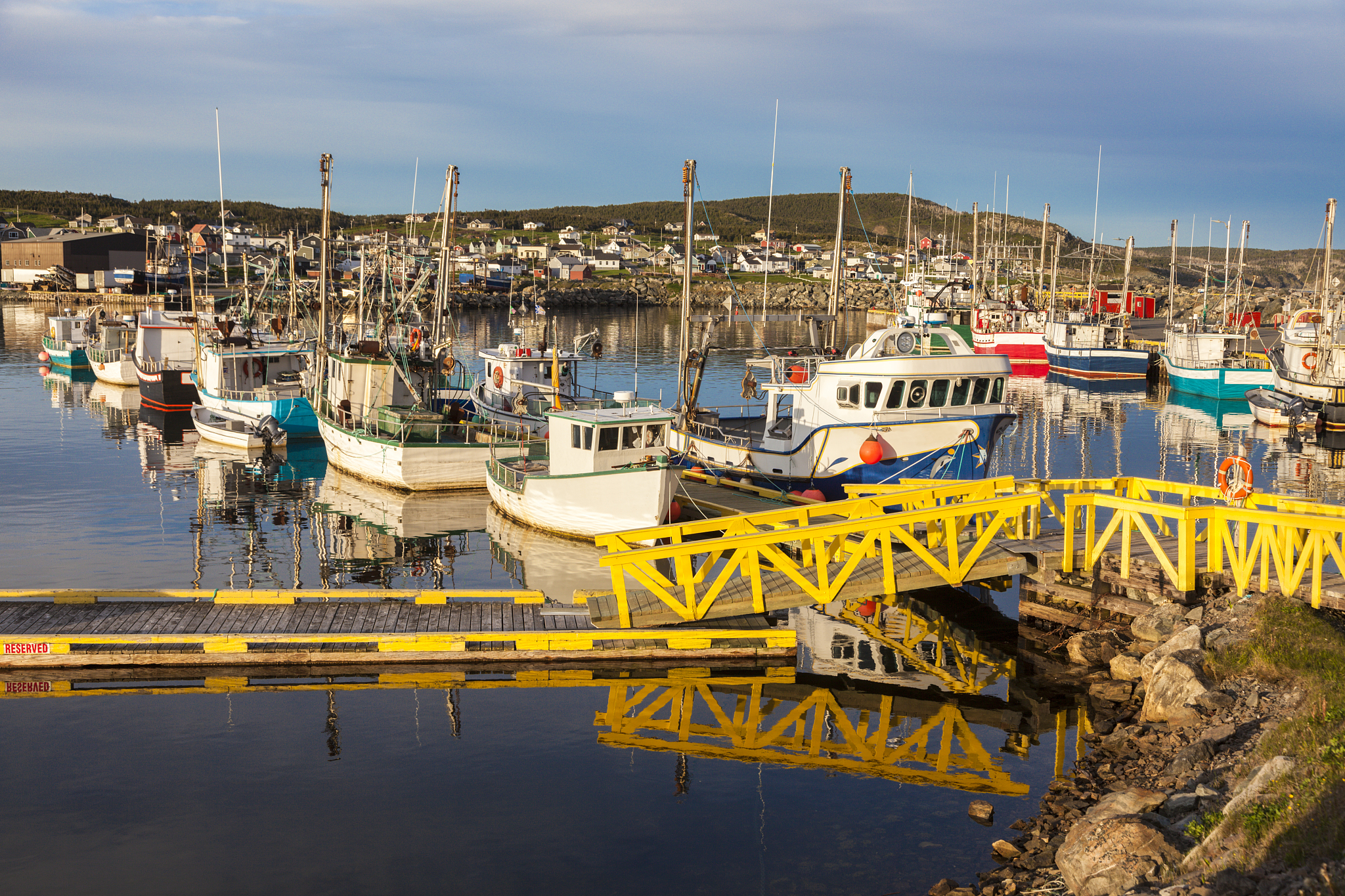 morning in bonavista, newfoundland