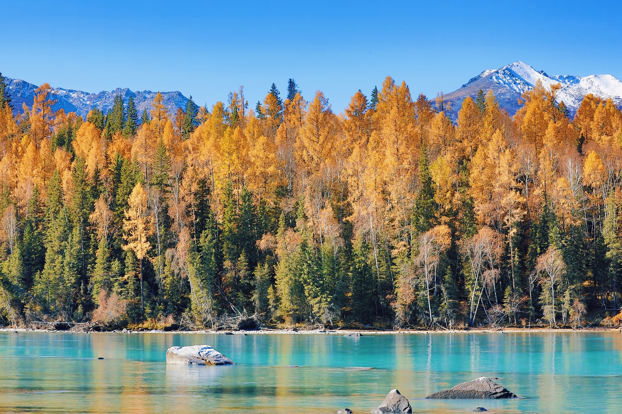 写一份8月份新疆10天旅游攻略